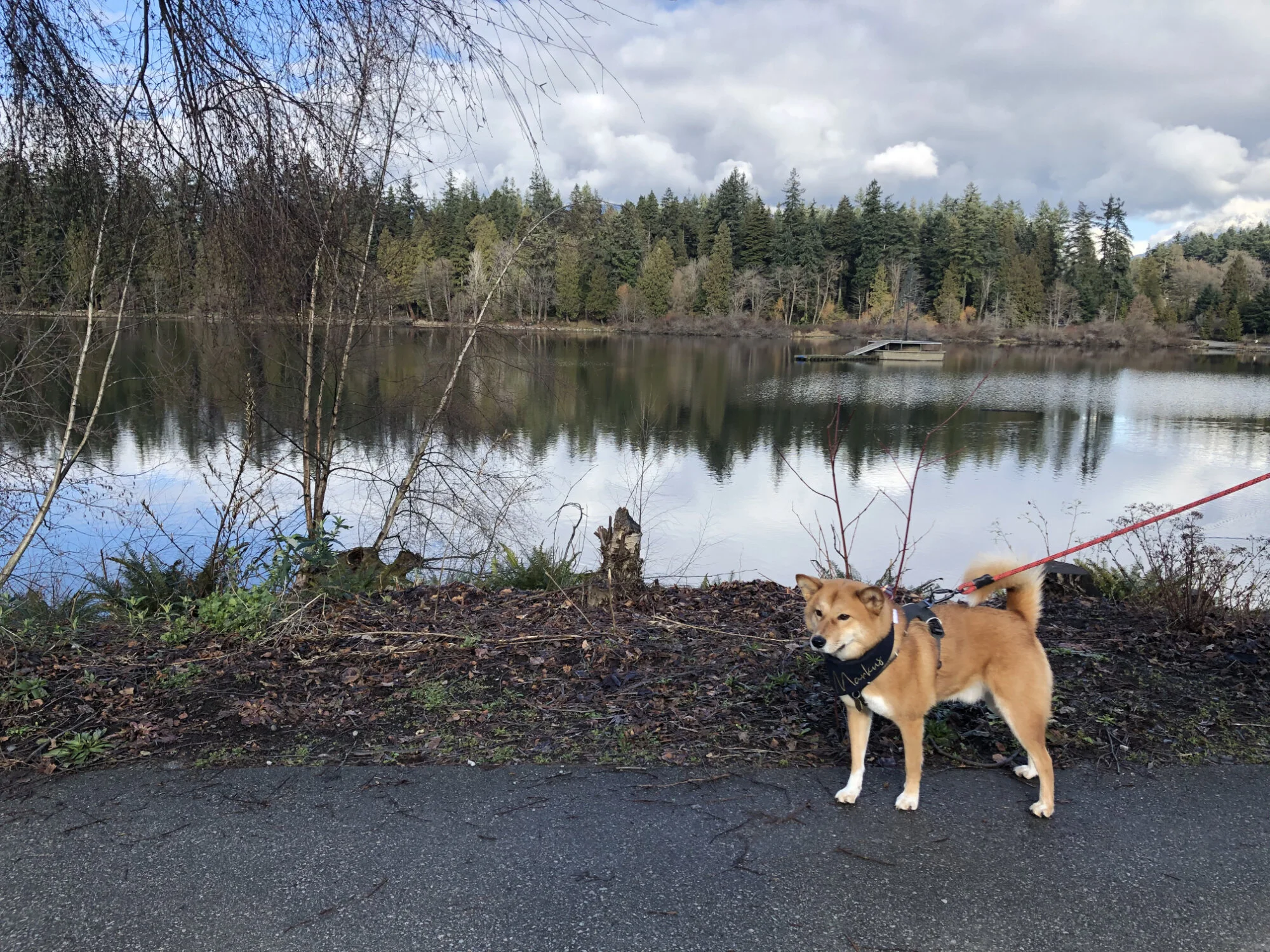 Markus quietly enjoying the calmness of the Lost Lagoon in Stanley Park