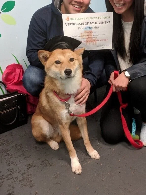 Markus posing with his graduation hat after passing dog training classes