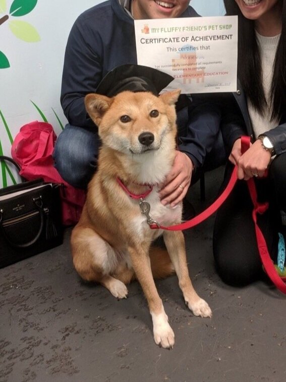 Markus with his graduation hat and his certificate after passing his dog training course