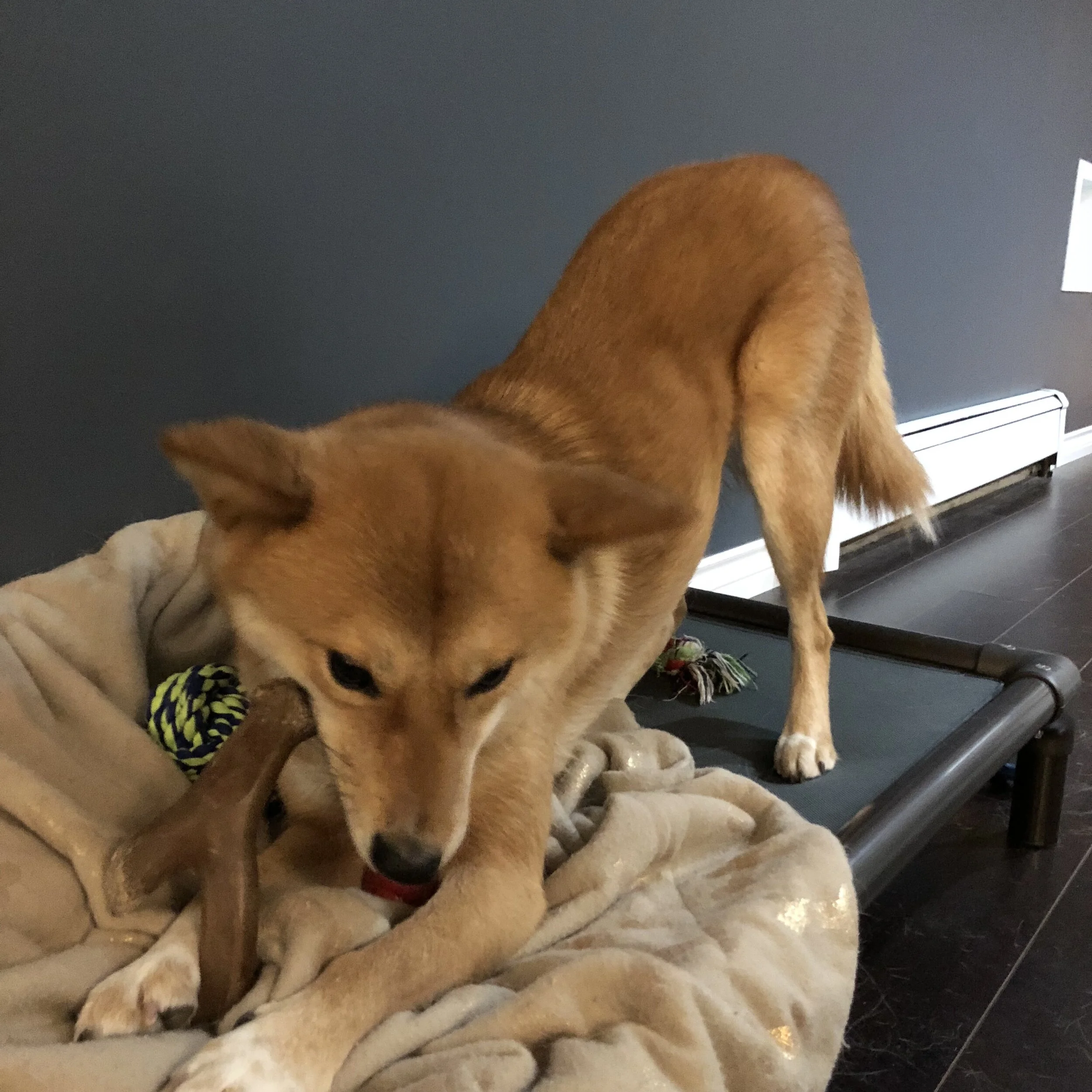 Markus working on his BeneBone with his working stance