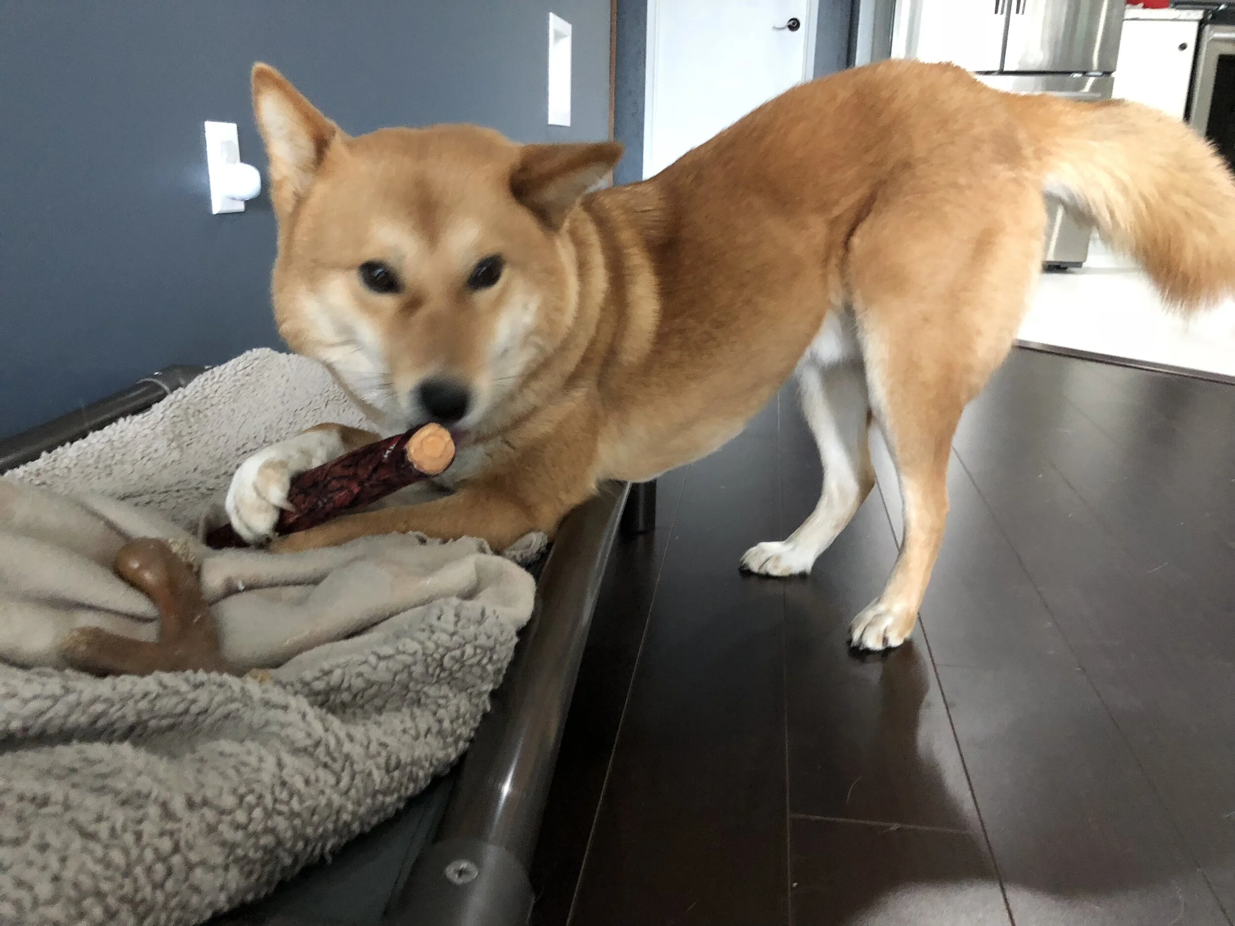Markus on his working stance working on his Plubber toy on his bed