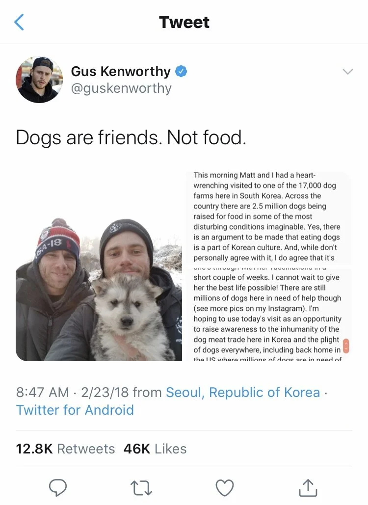A tweet from @guskenworthy about the dog-meat market in South Korea
