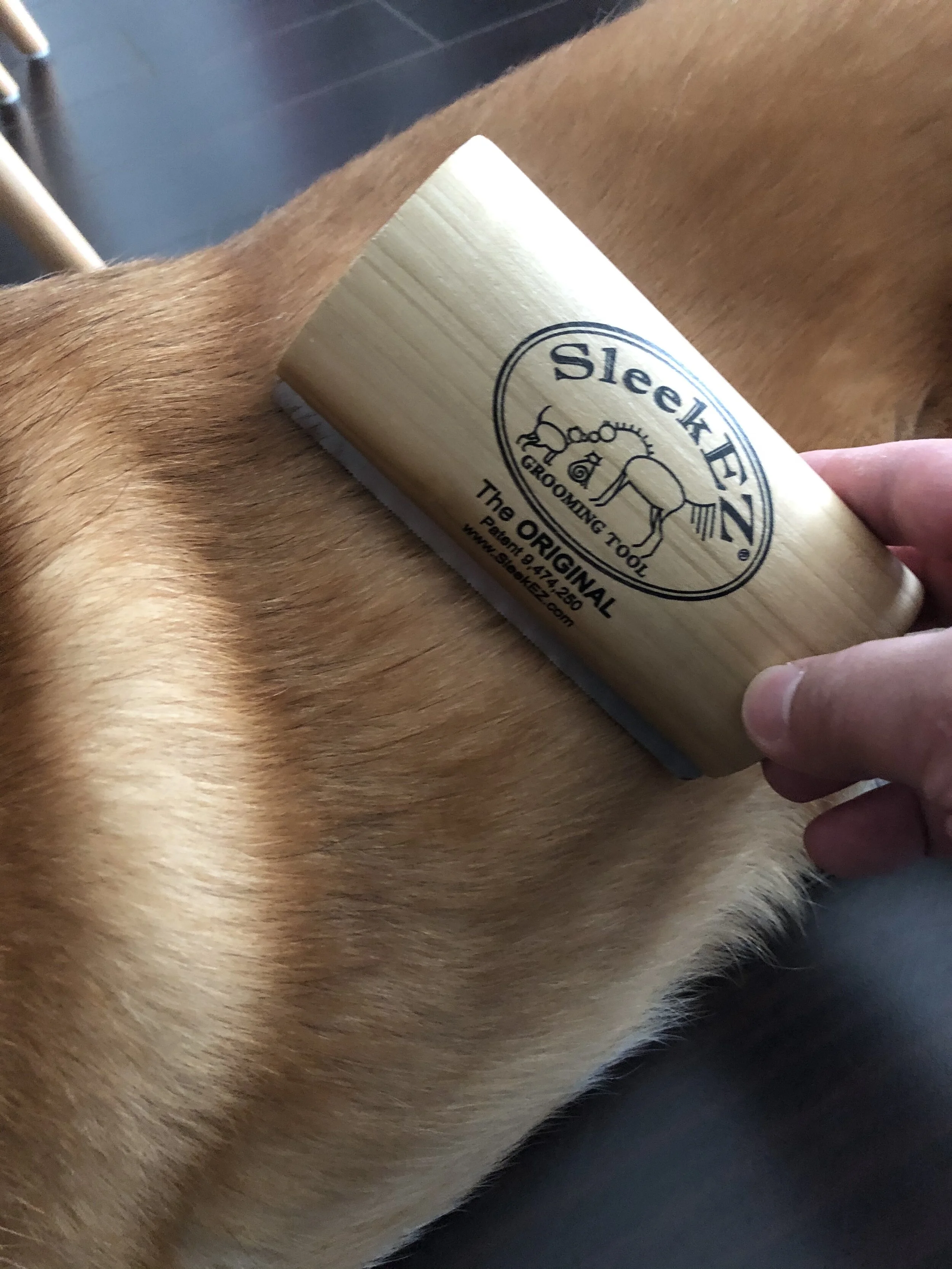 Markus being groomed with the SleekEZ Grooming Tool