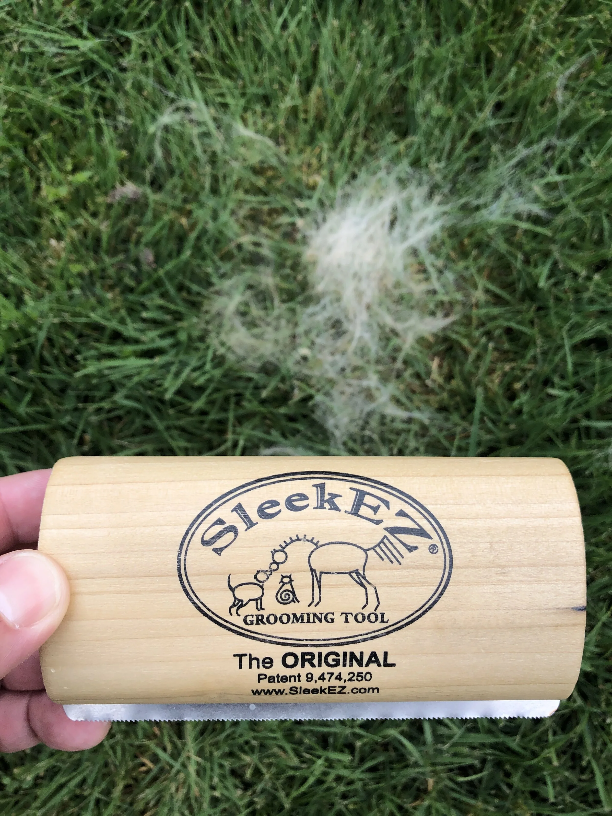 The SleekEZ Grooming Tool with Markus’ tuffs of fur in the back