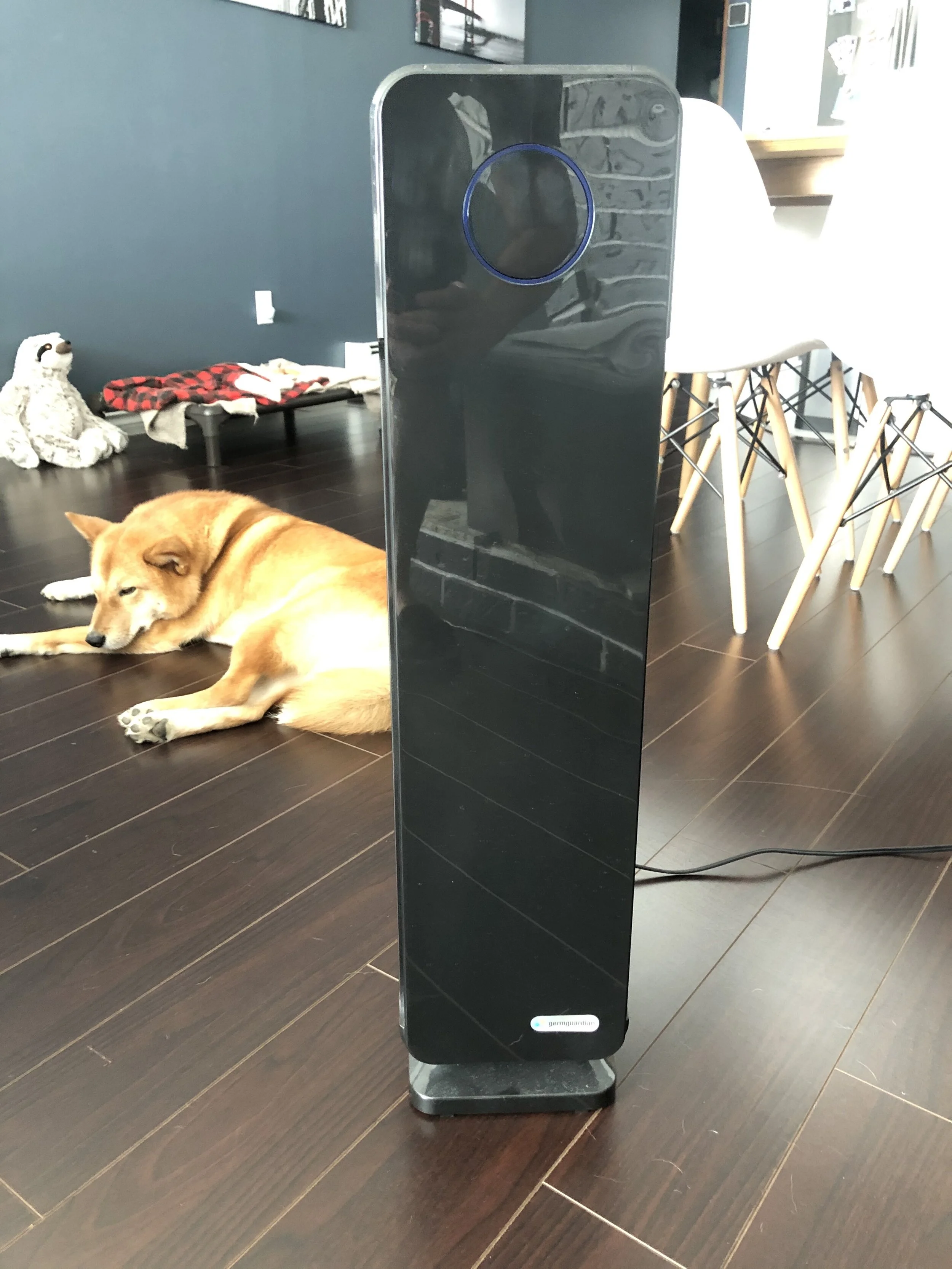 Markus getting his air purified behind the GermGuardian Air Purifier