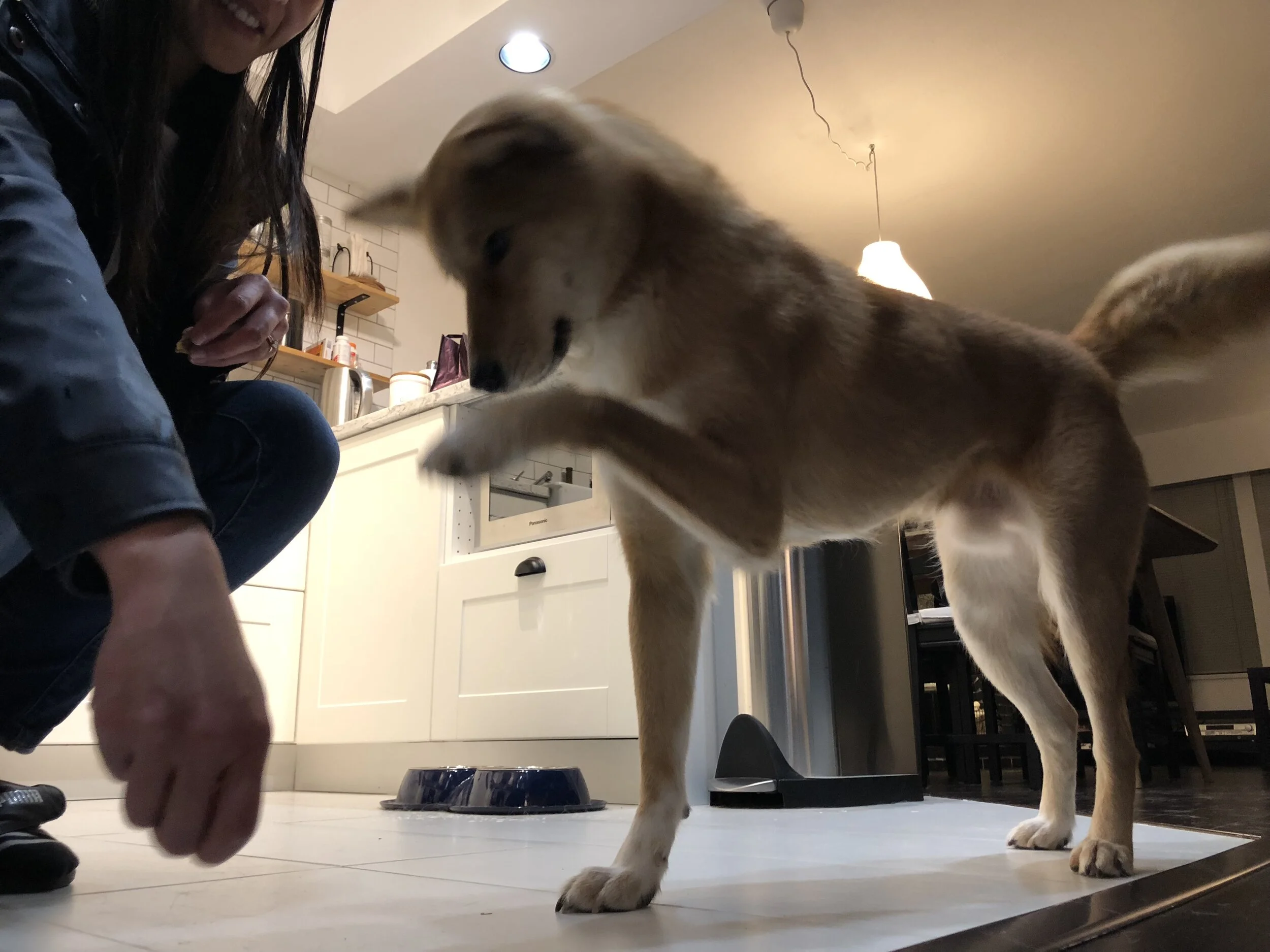 Markus practicing his shake, but not quite doing it right