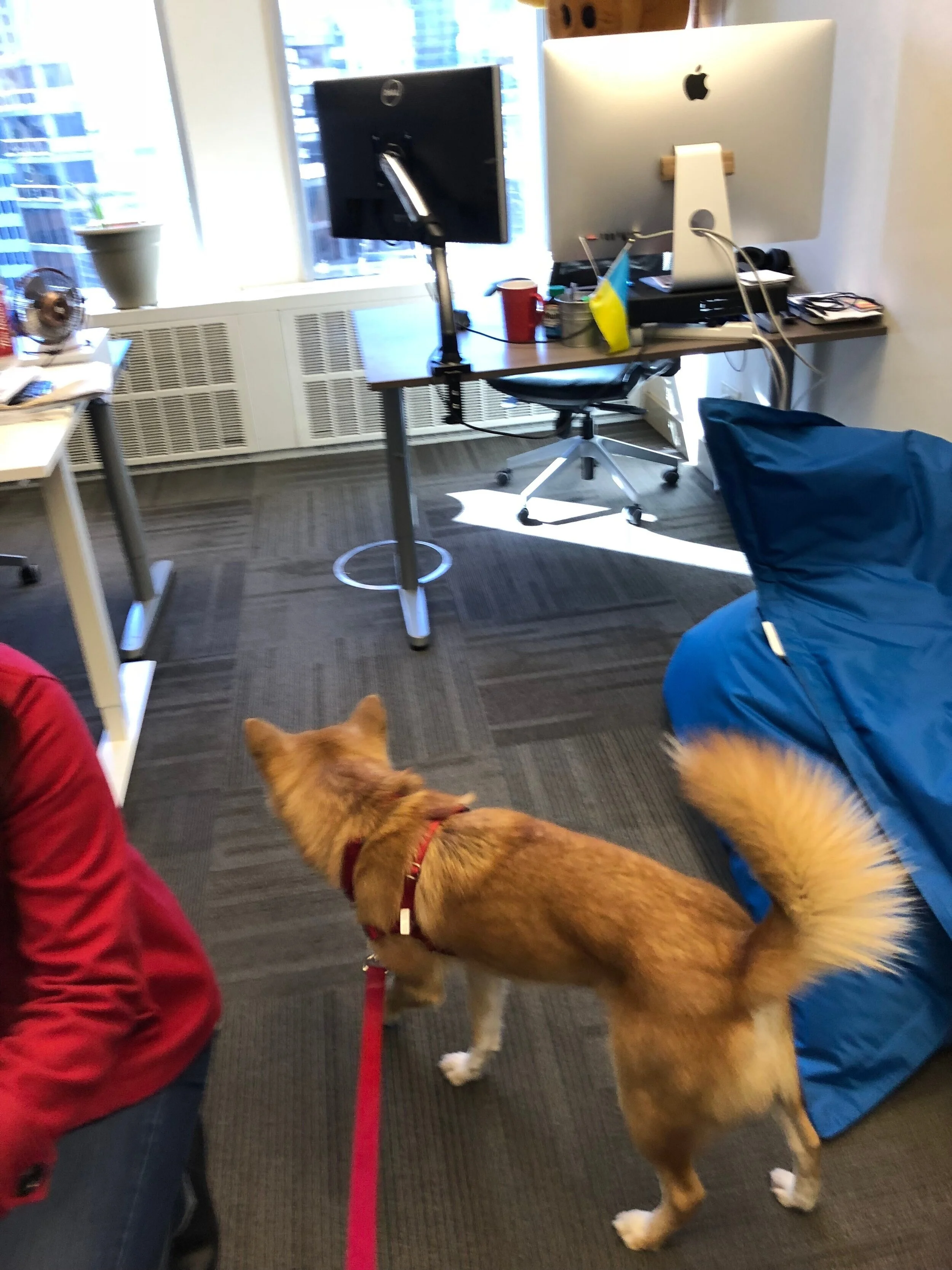 Markus coming into the office to start his professional career