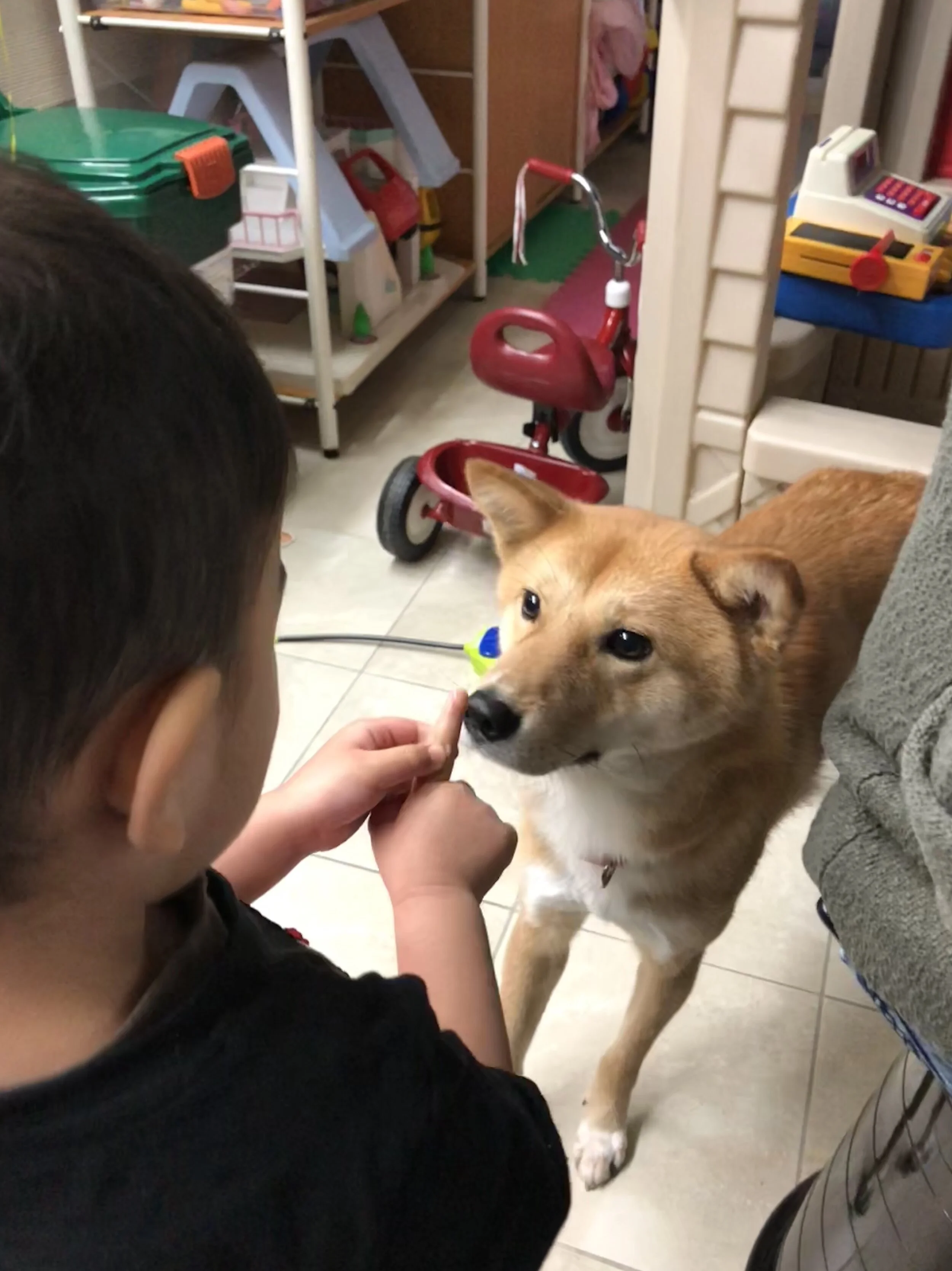 Markus sniffing the finger of a toddler