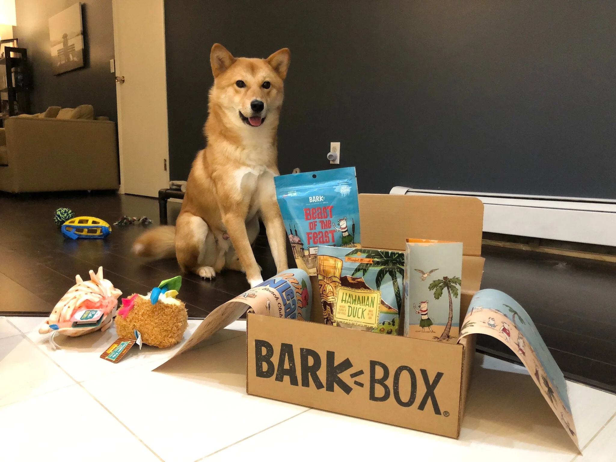 Markus looking happy and excited with his first  BarkBox
