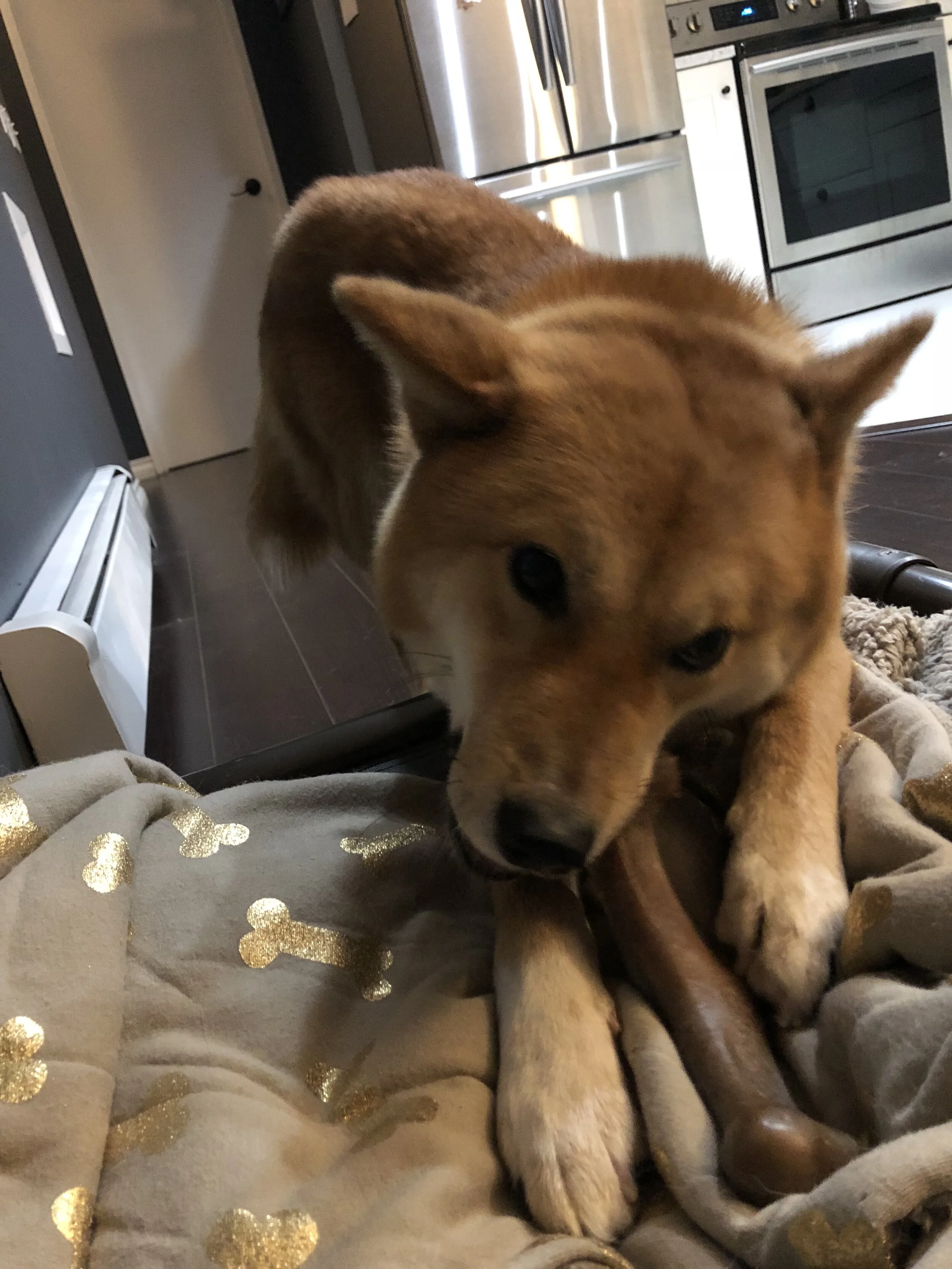 Markus working his  BeneBone  on his bed