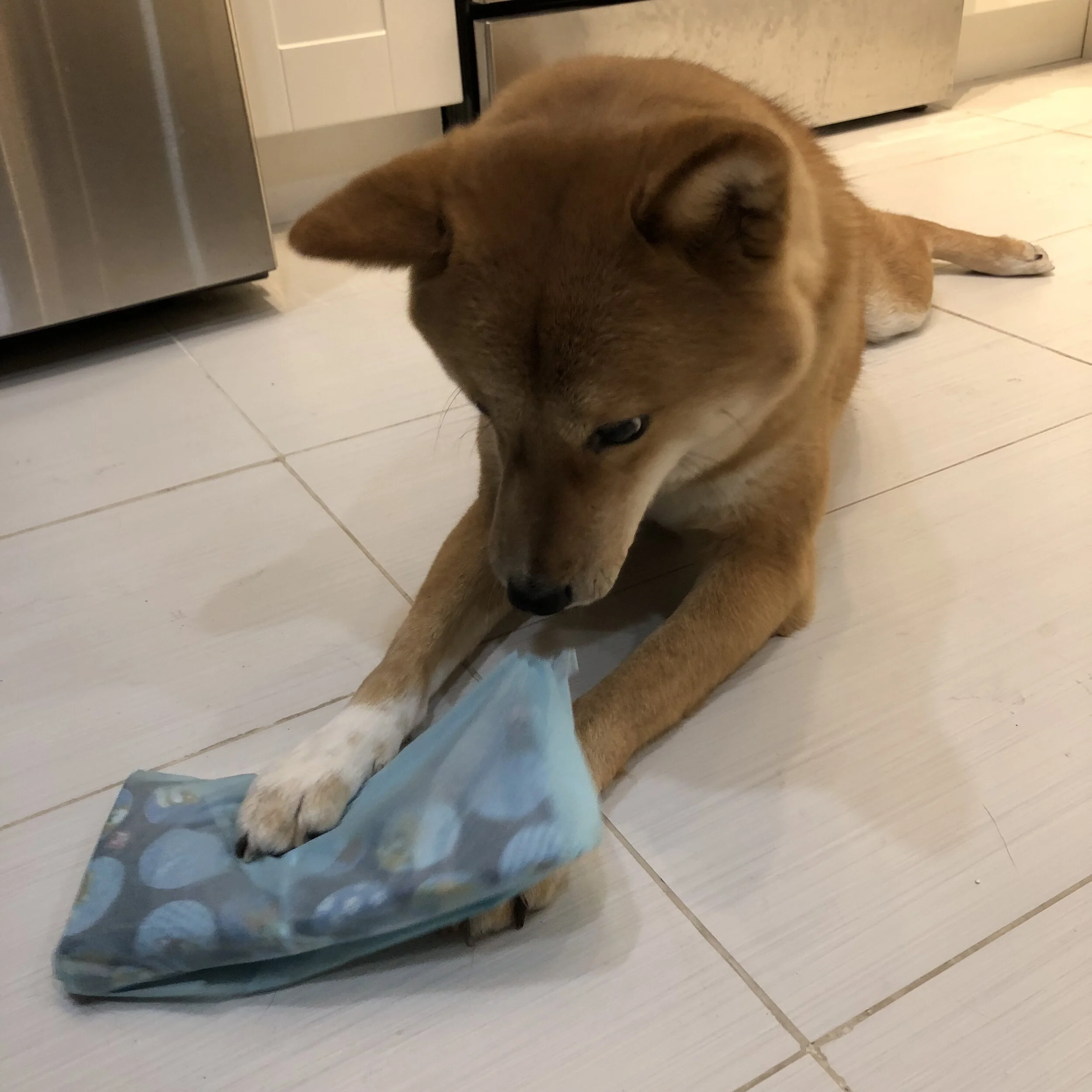 Markus opening his package from  BorkCorp