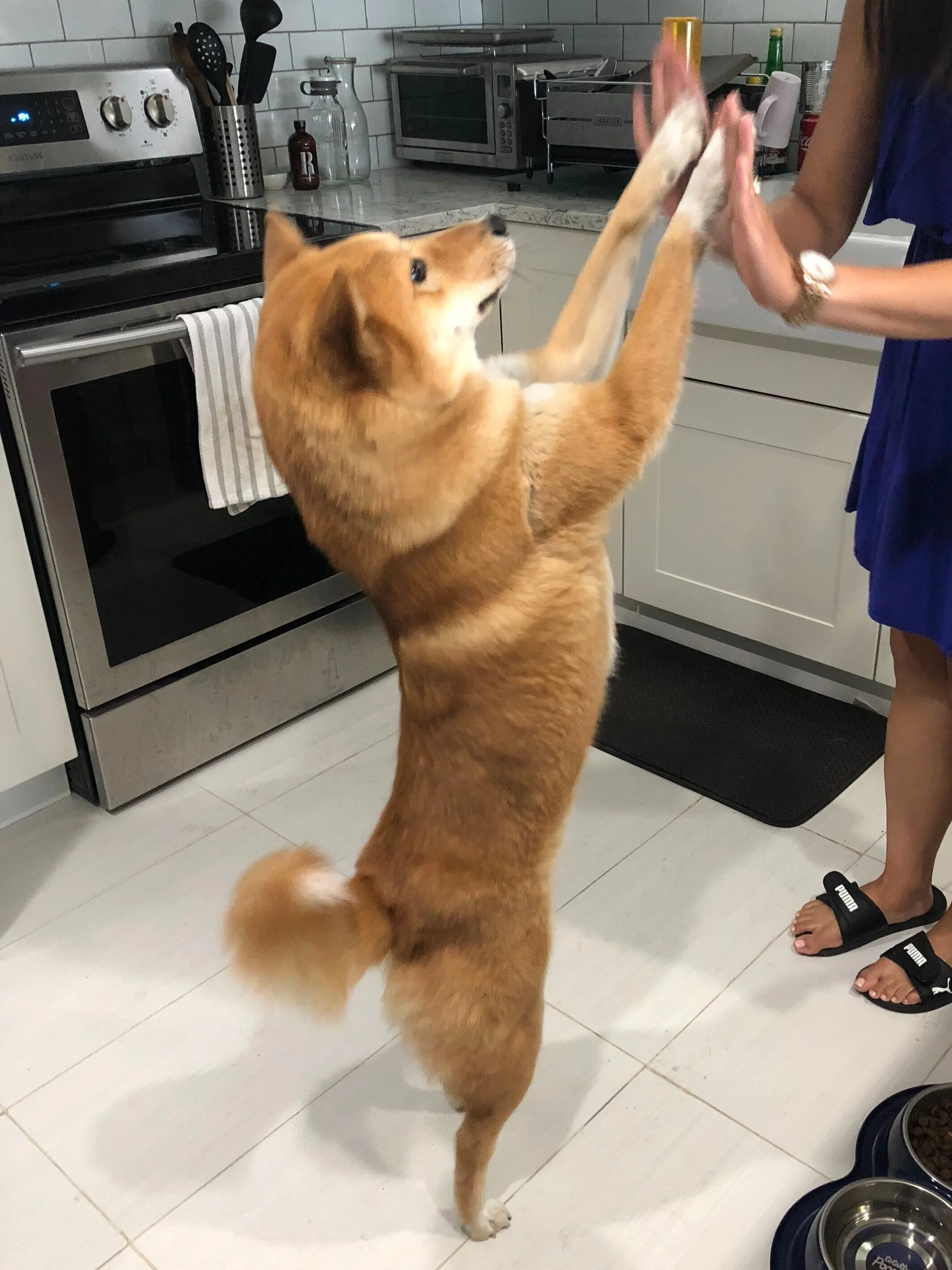 Markus dishing out the highest of high fives