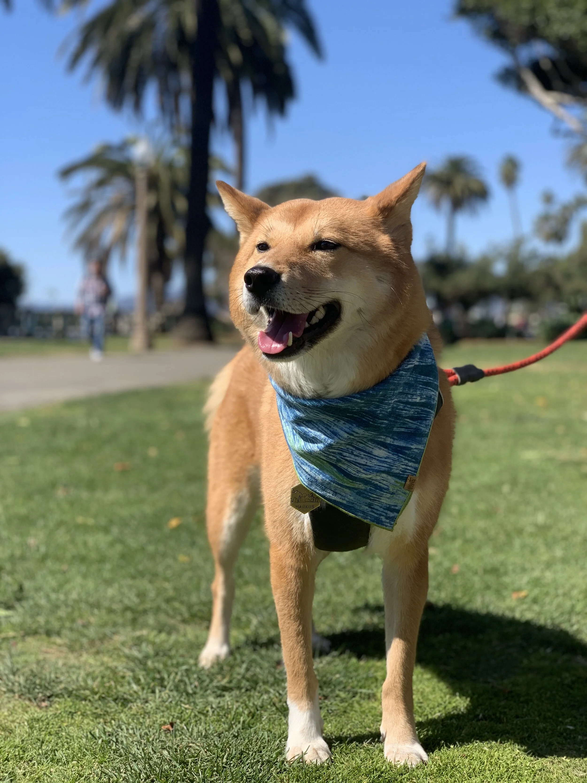 Markus posing in the California heat in front of palm trees