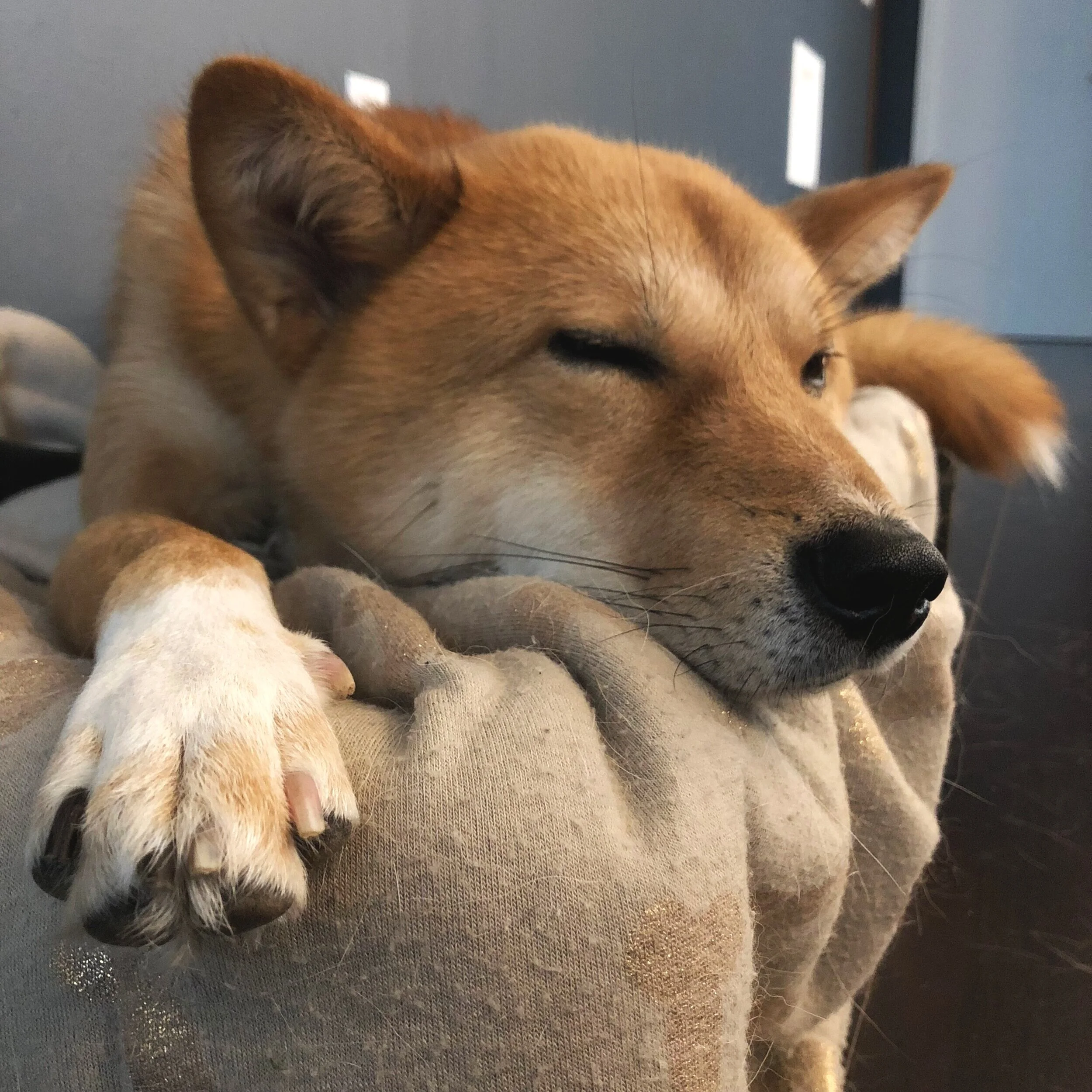 Markus showing off his freshly trimmed nails