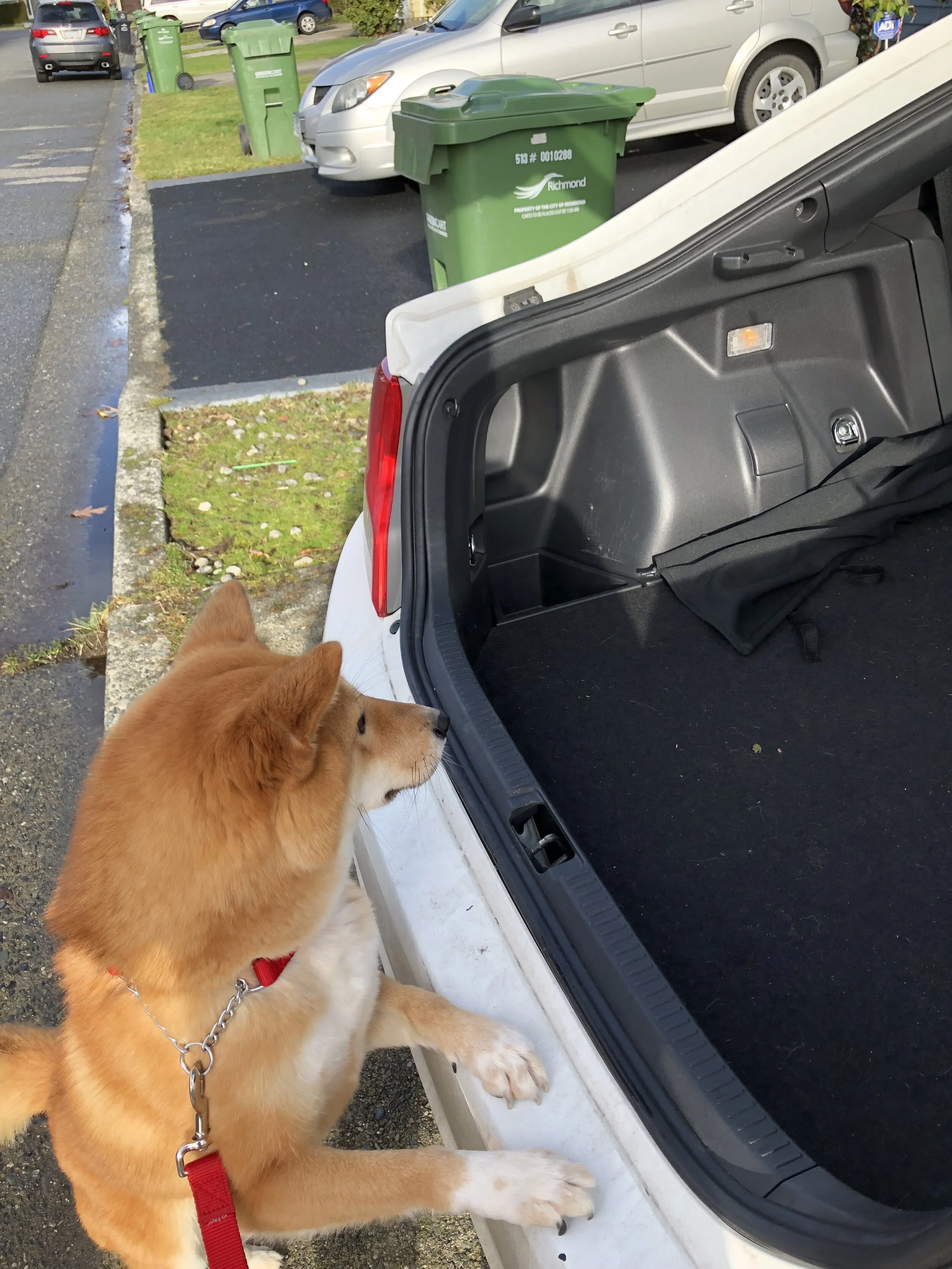 Markus saying goodbye to the old car and old way of getting in