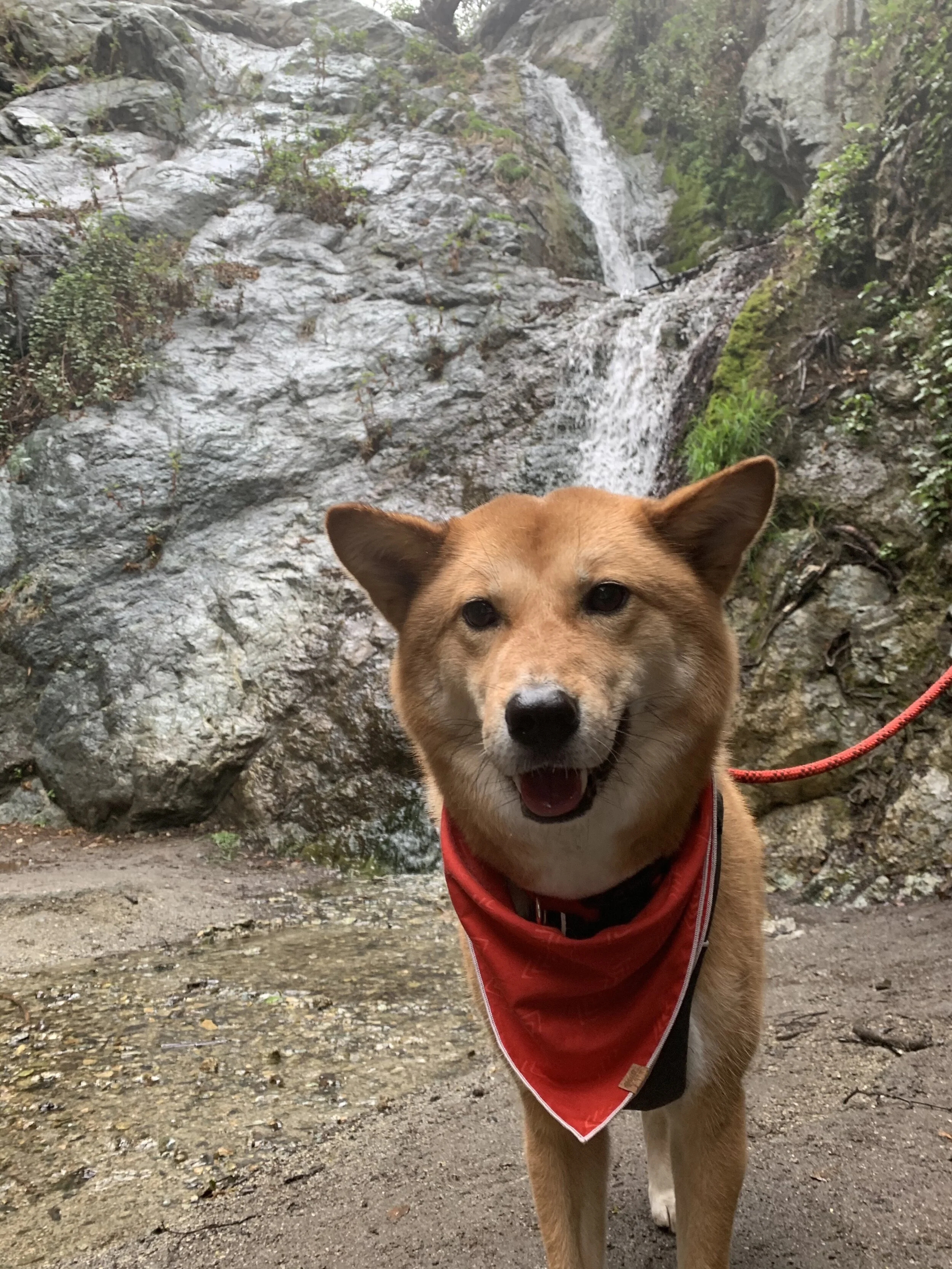 Markus posing with Monrovia Falls at the end of the Monrovia Canyon Waterfall Trail in California