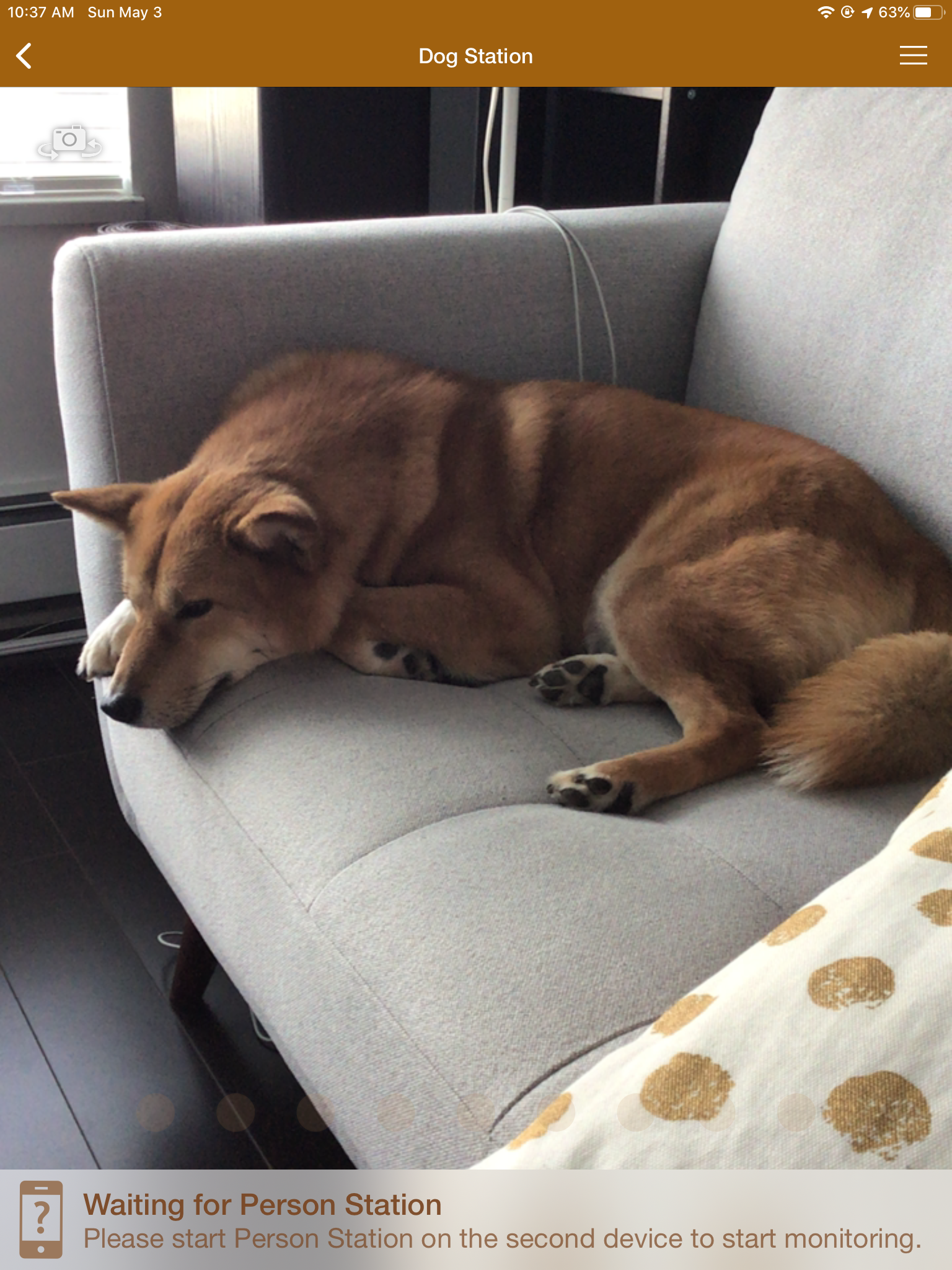 Screenshot of Markus on the  Dog Monitor App  (Dog Station)