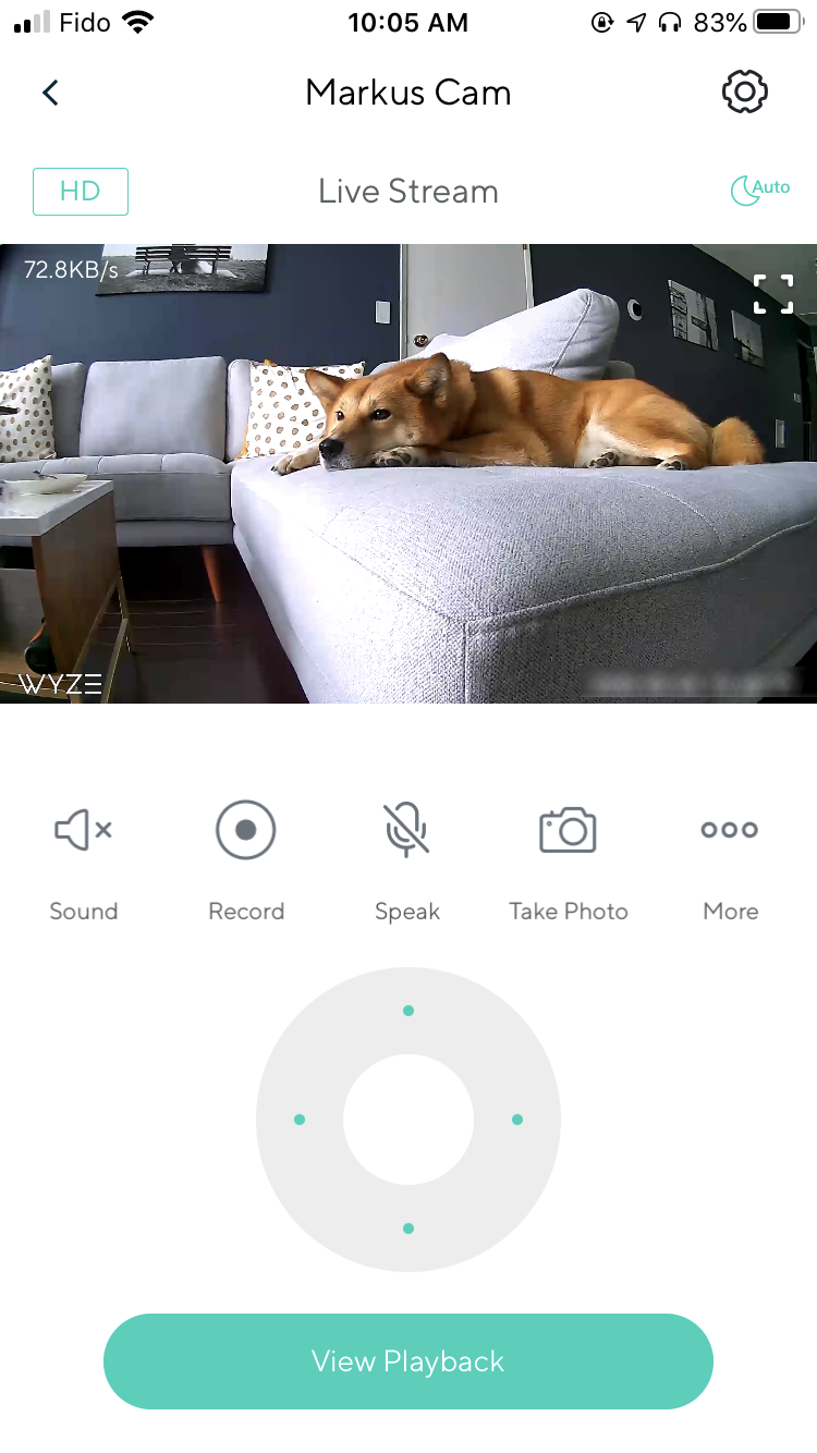 Screenshot of the HD quality of the camera watching Markus from the  Wyze Cam Pan