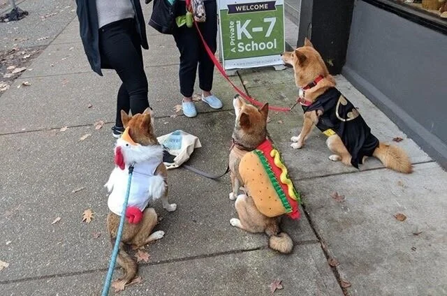 Markus (right) trying to be his best Batman.. or Batdog?