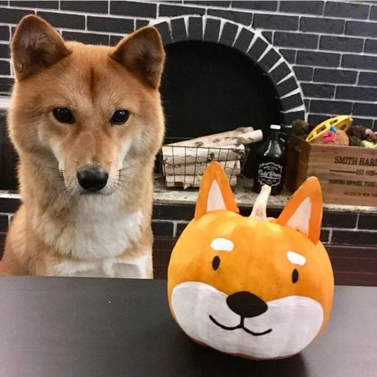 Markus looking at his pumpkin version thinking about food more than anything