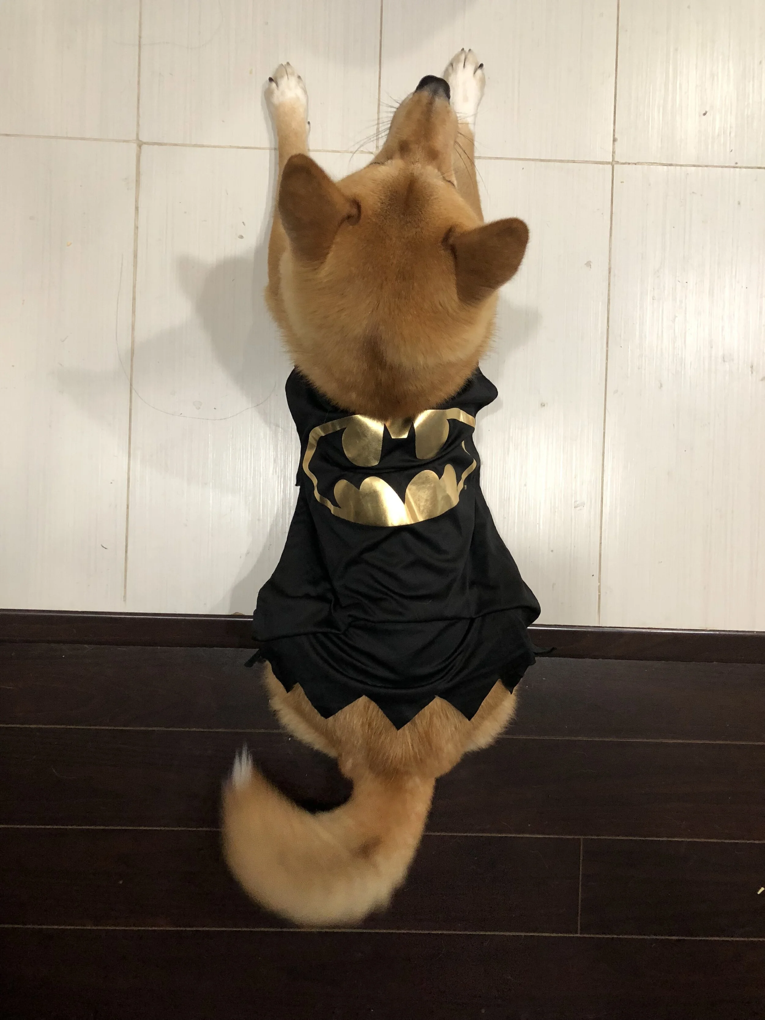 Markus sprawled out in position to fly. But does Batman fly? No. He doesn’t.