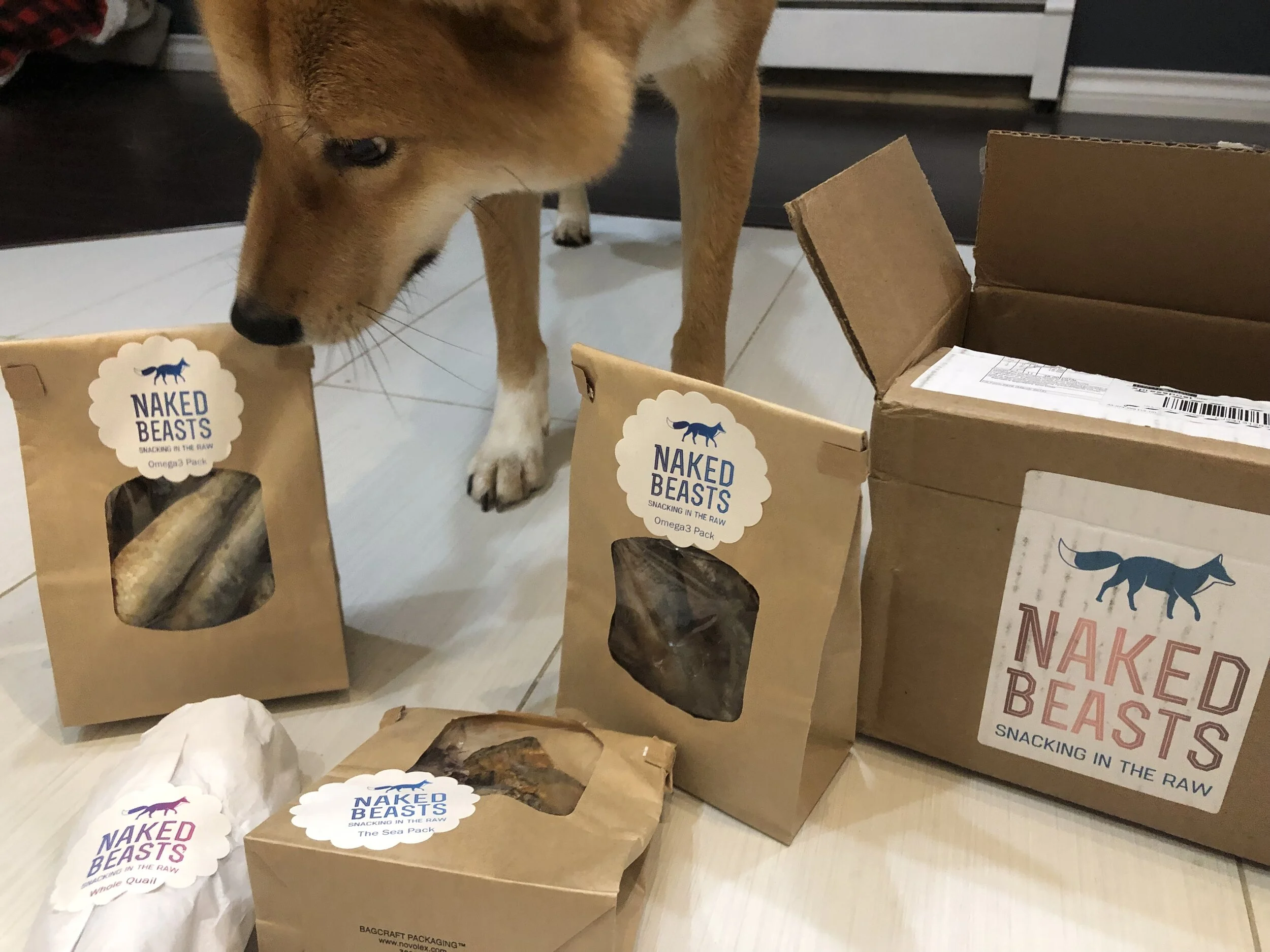 Markus discovering his new treats from  Naked Beasts