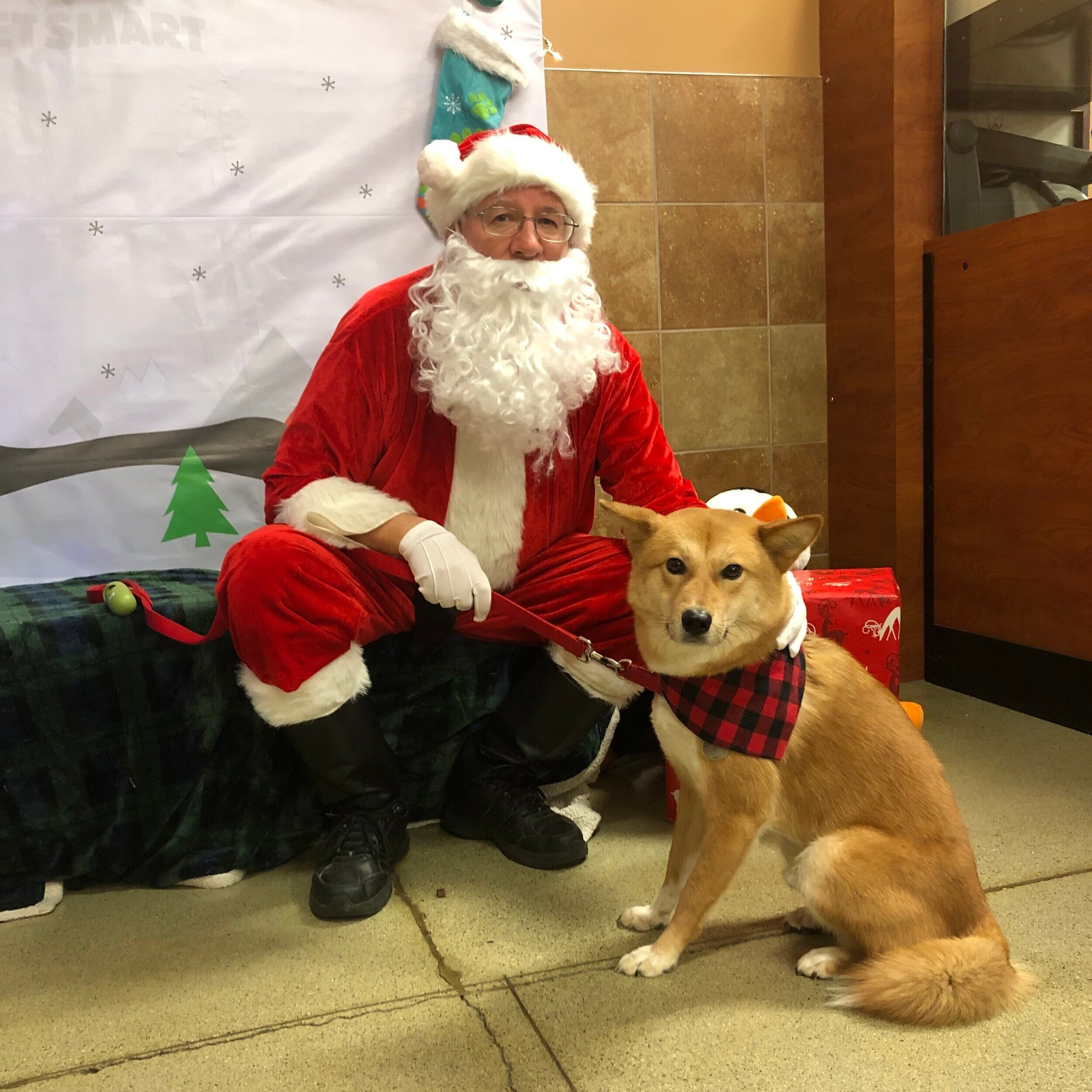 Markus meeting Santa Paws for the first time at a PetSmart event