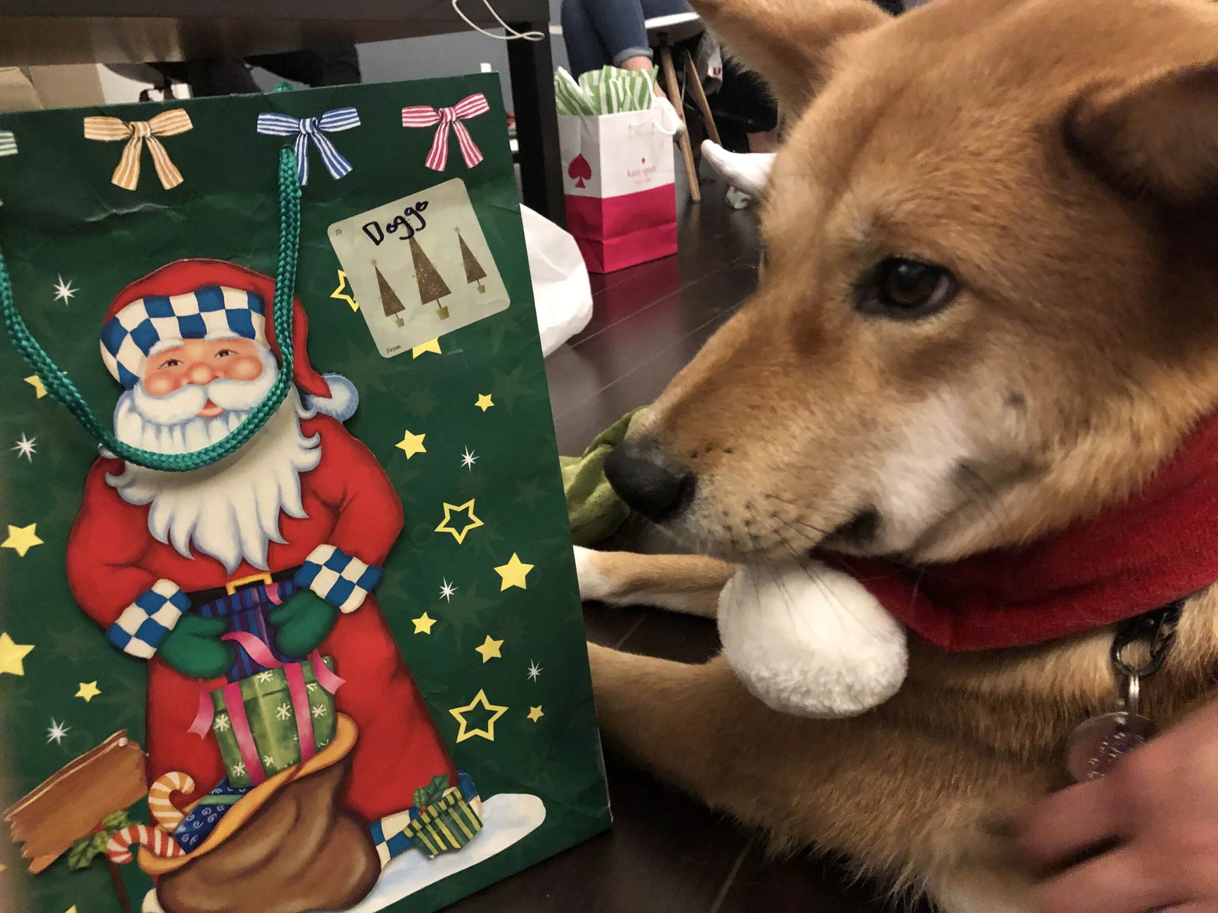 Markus eyeing the bag of gifts with his name on it