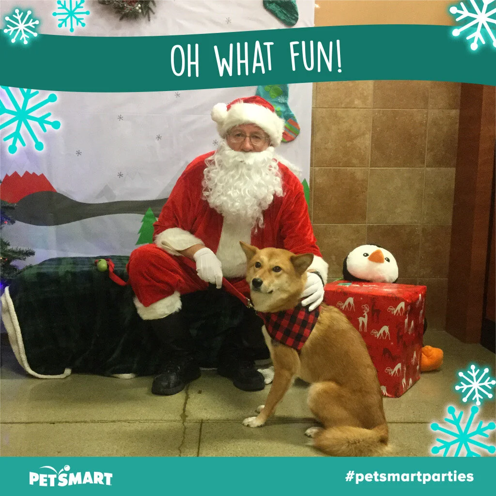Photo of Markus with Santa Paws sent to us by PetSmart