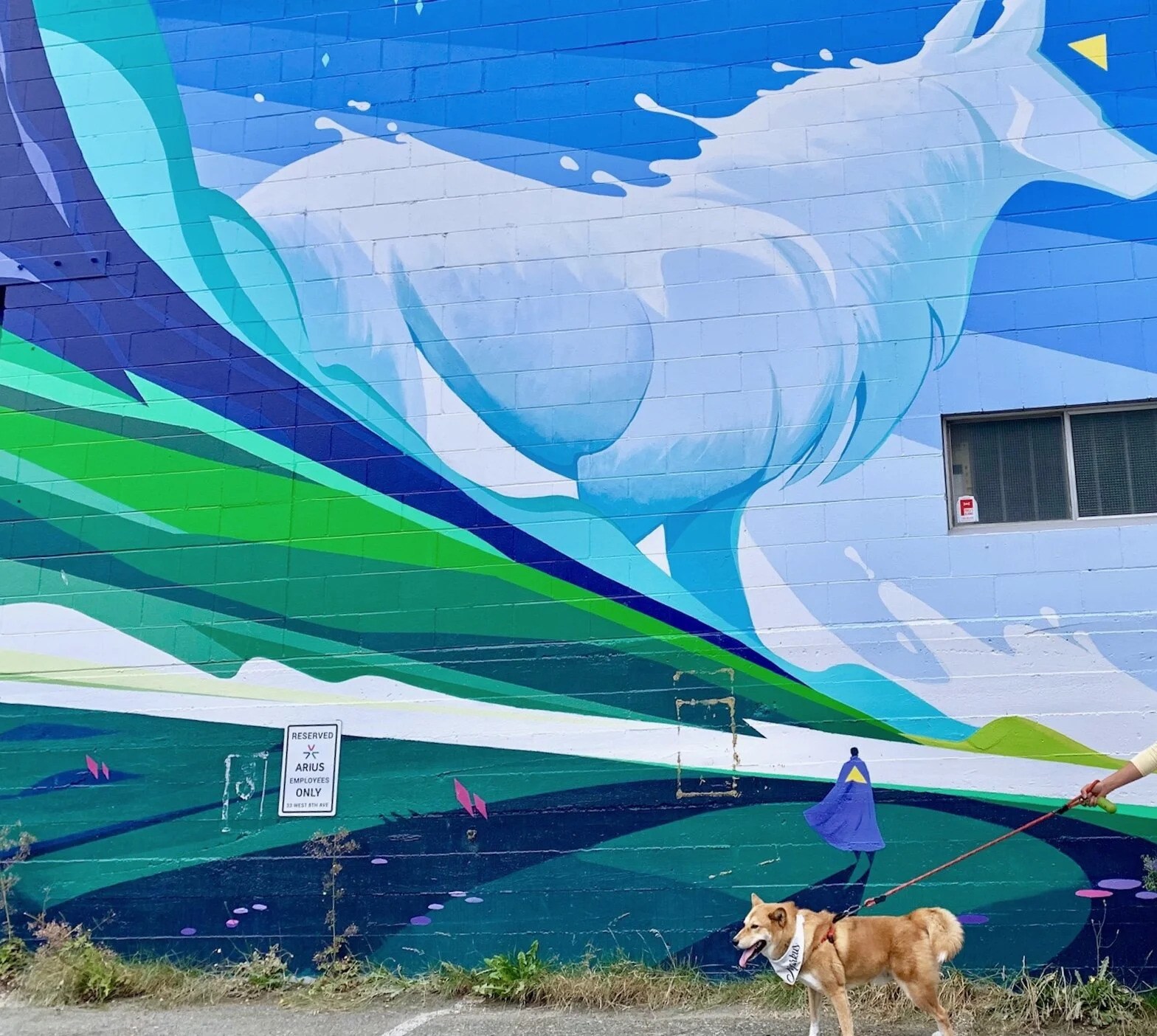 Markus standing in front of a mural at the Vancouver Mural Festival