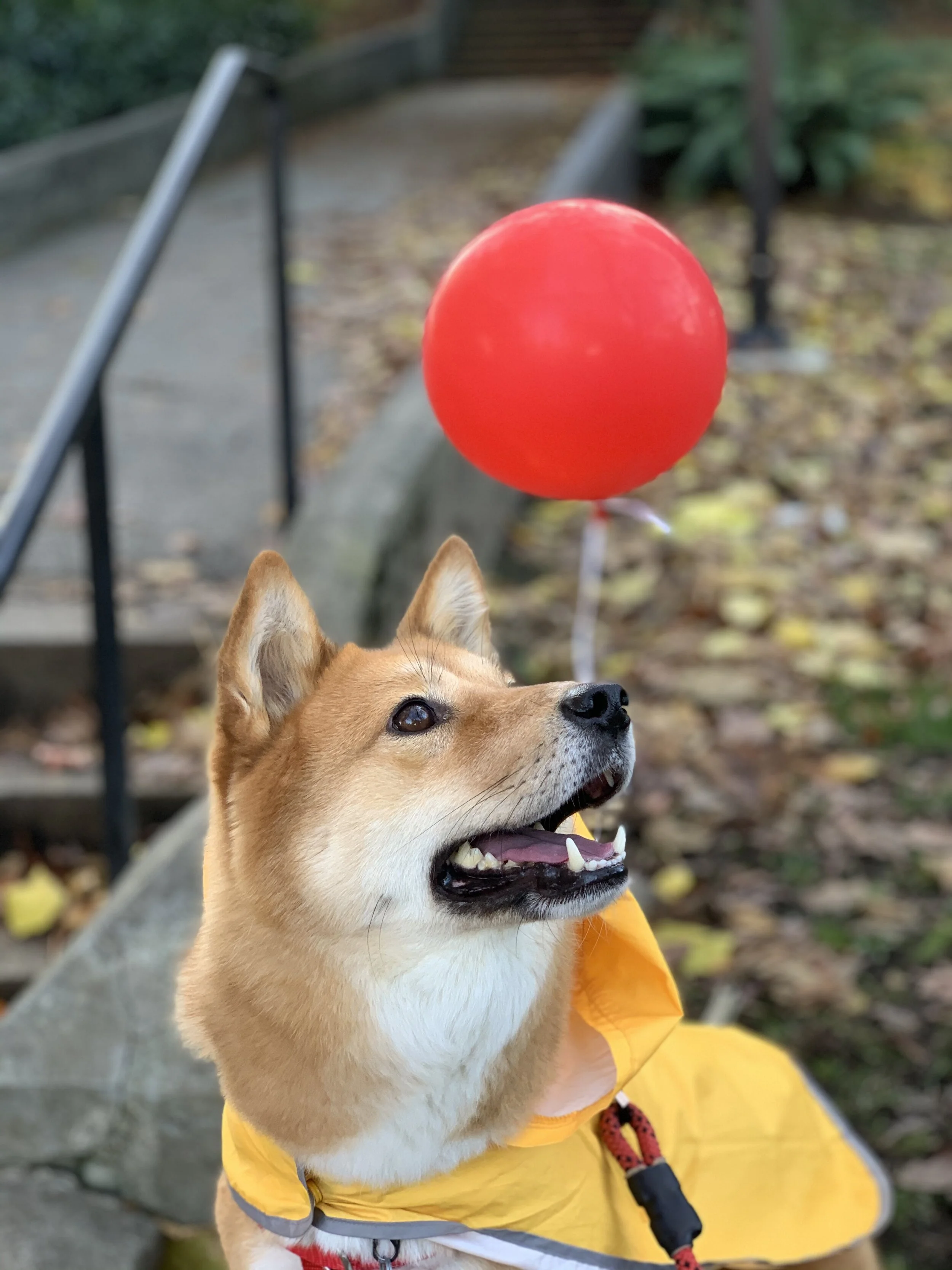 Markus playing his best Georgie from the movie IT