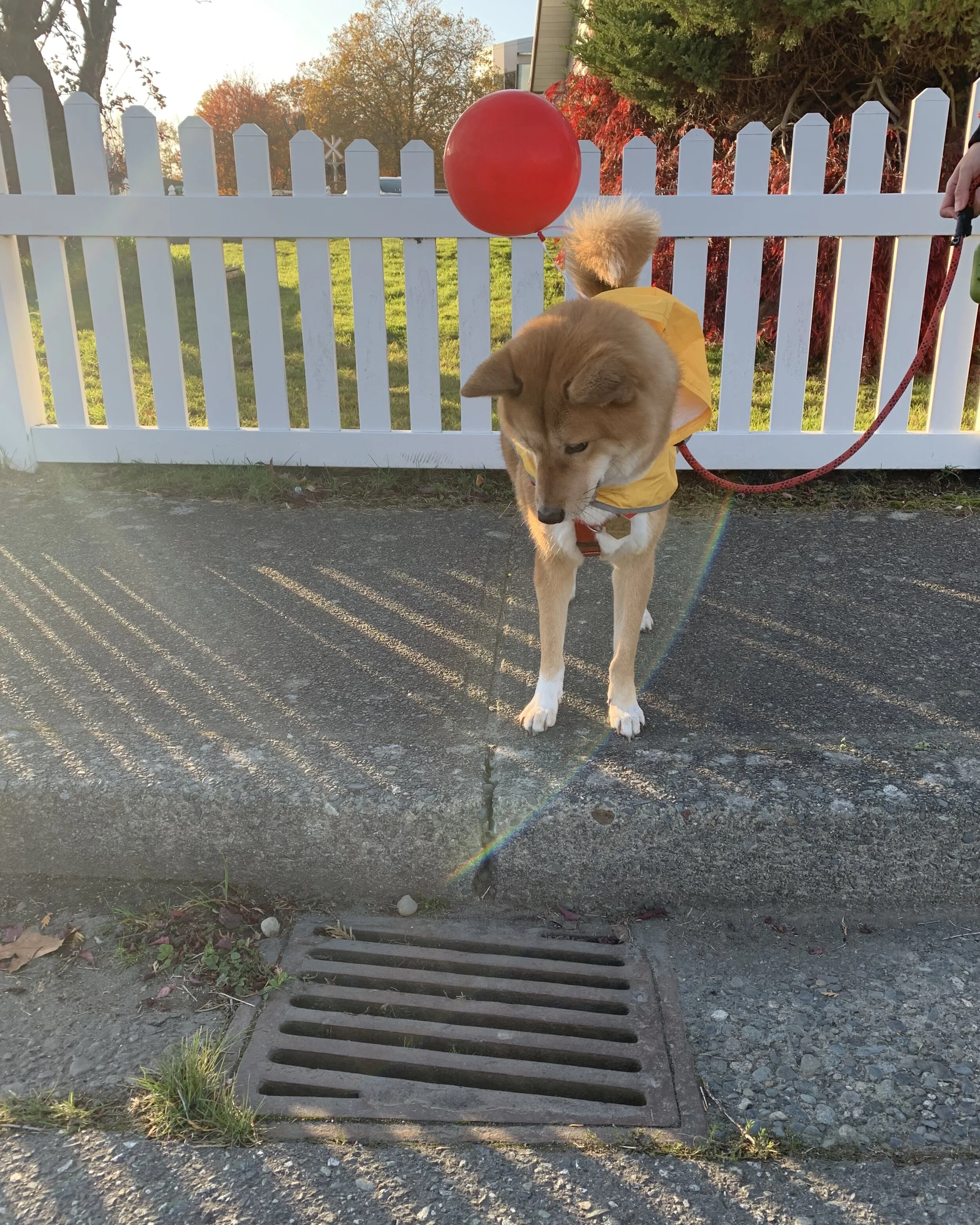 Markus Georgie thought he heard something in the sewers