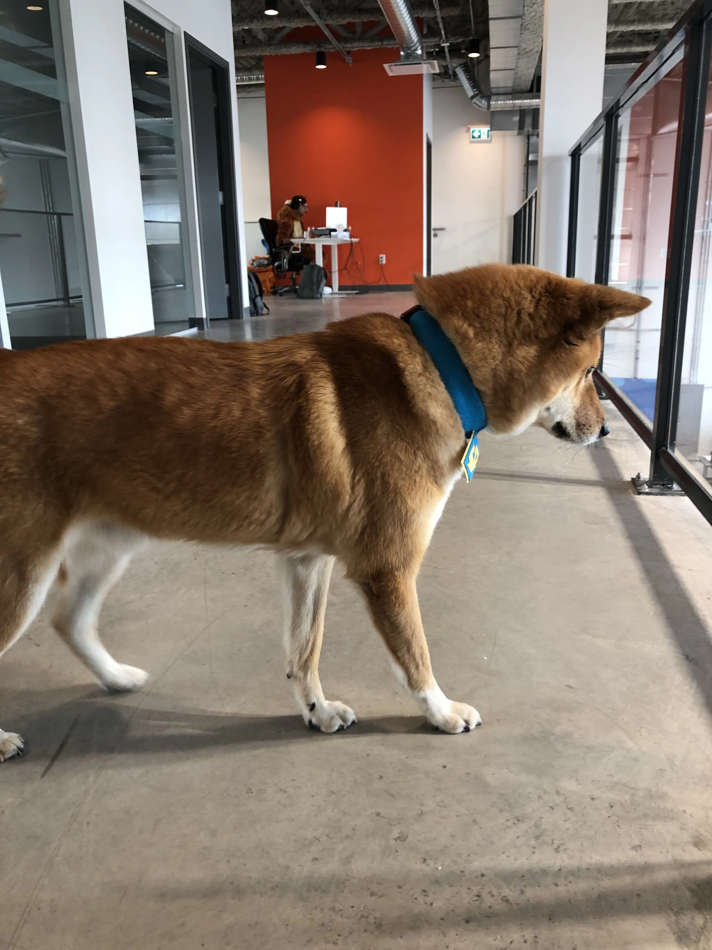 Detective Marky Doo always on the case, even at work