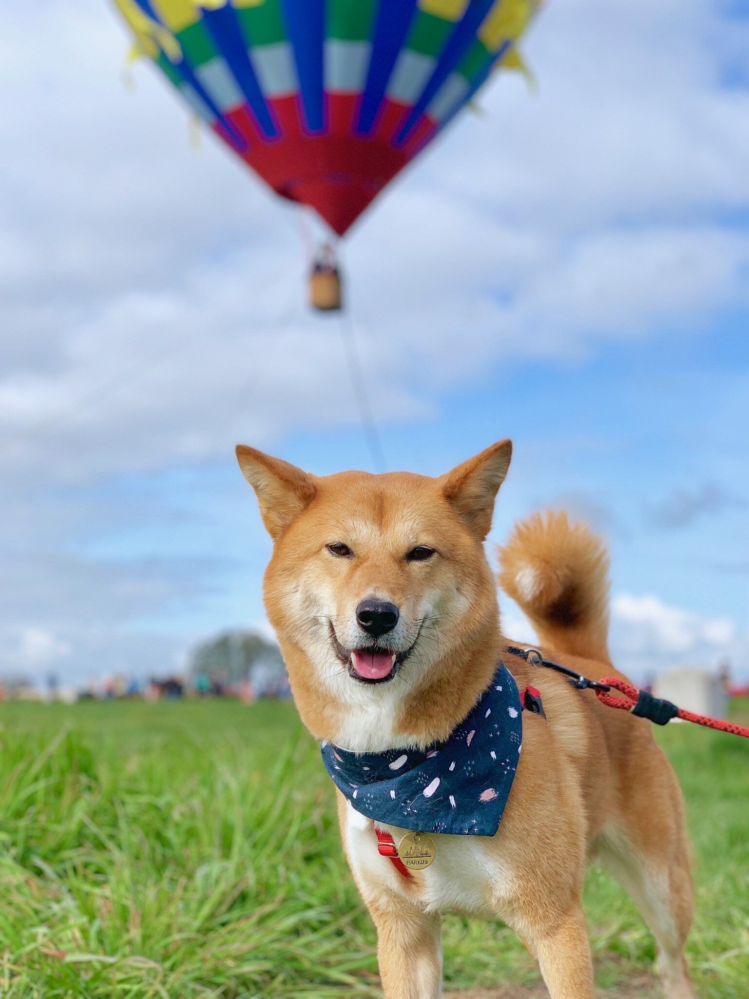 The farthest we’ve gone with Markus has been in  Woodburn, Oregon  which we’ll likely beat on this upcoming road trip
