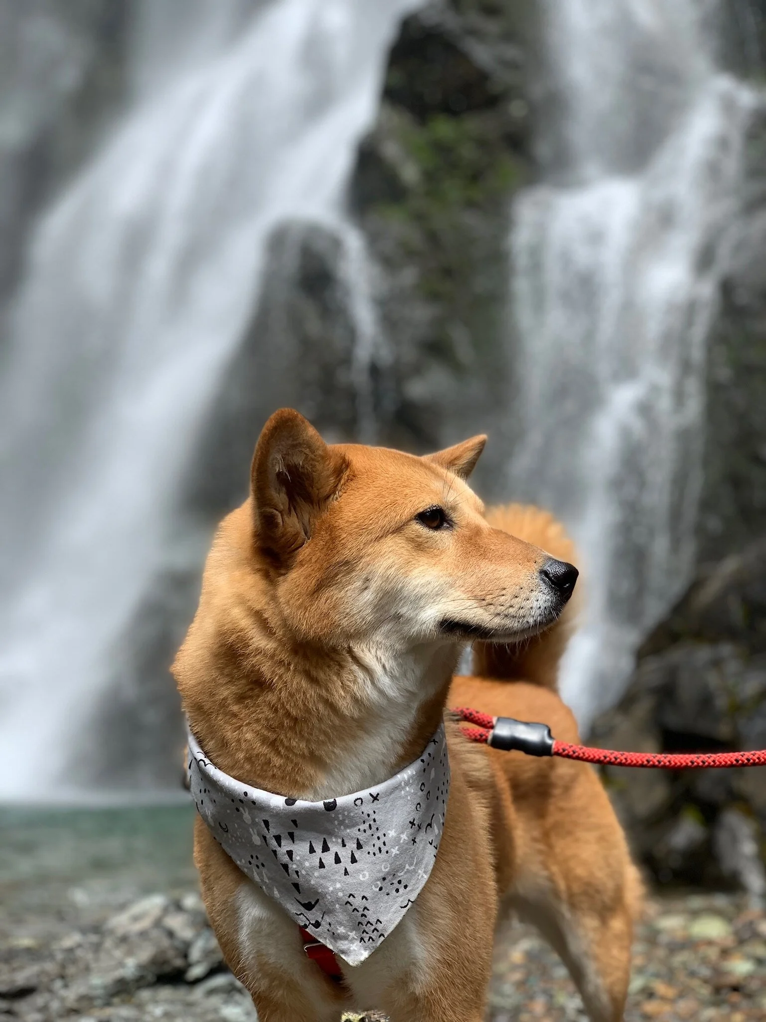 Markus posing at the end of the hike by Henline Falls in Oregon
