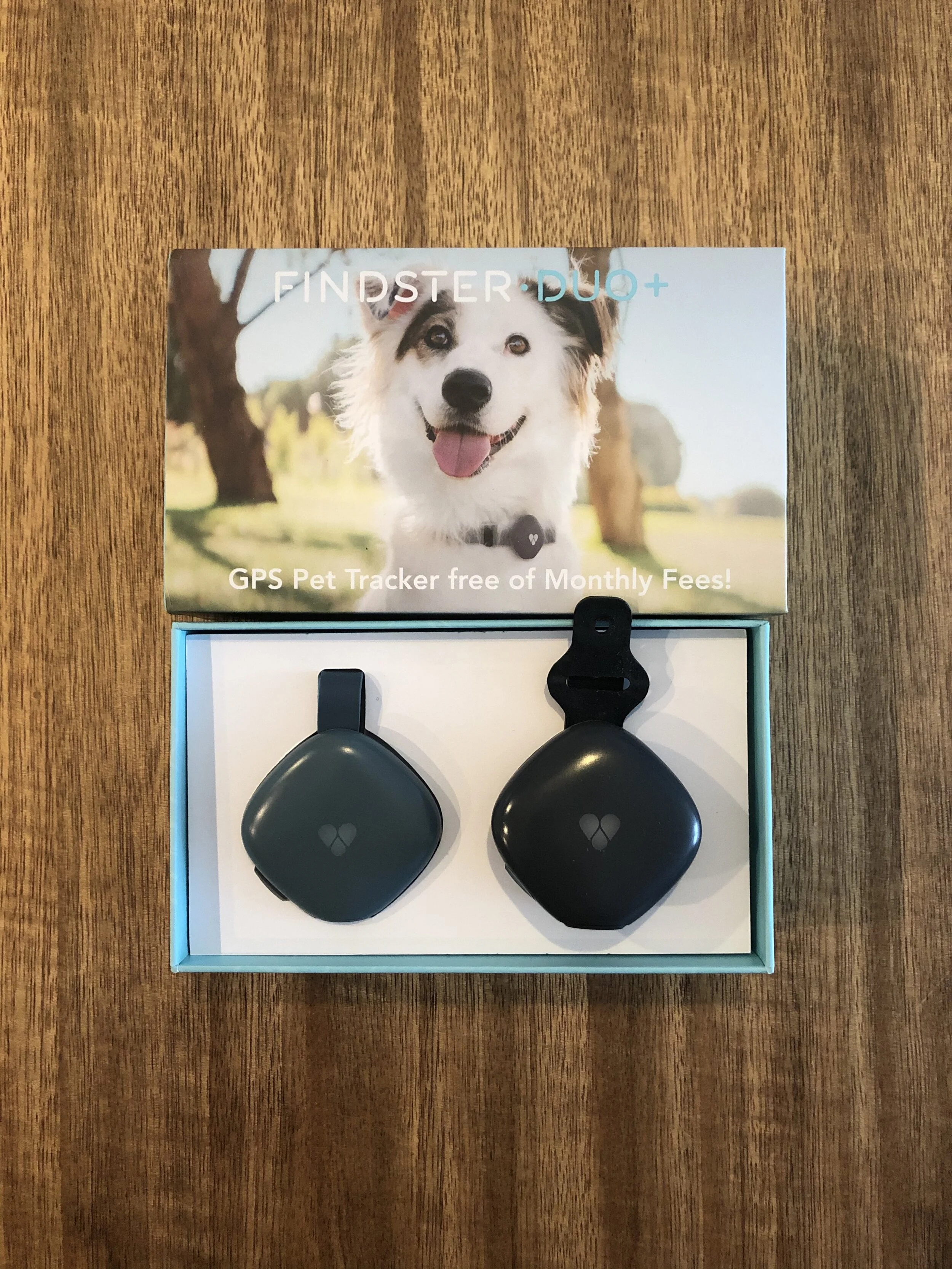 The  Findster Pet Tracker  comes with two modules - one for the dog owner and the other for the dog