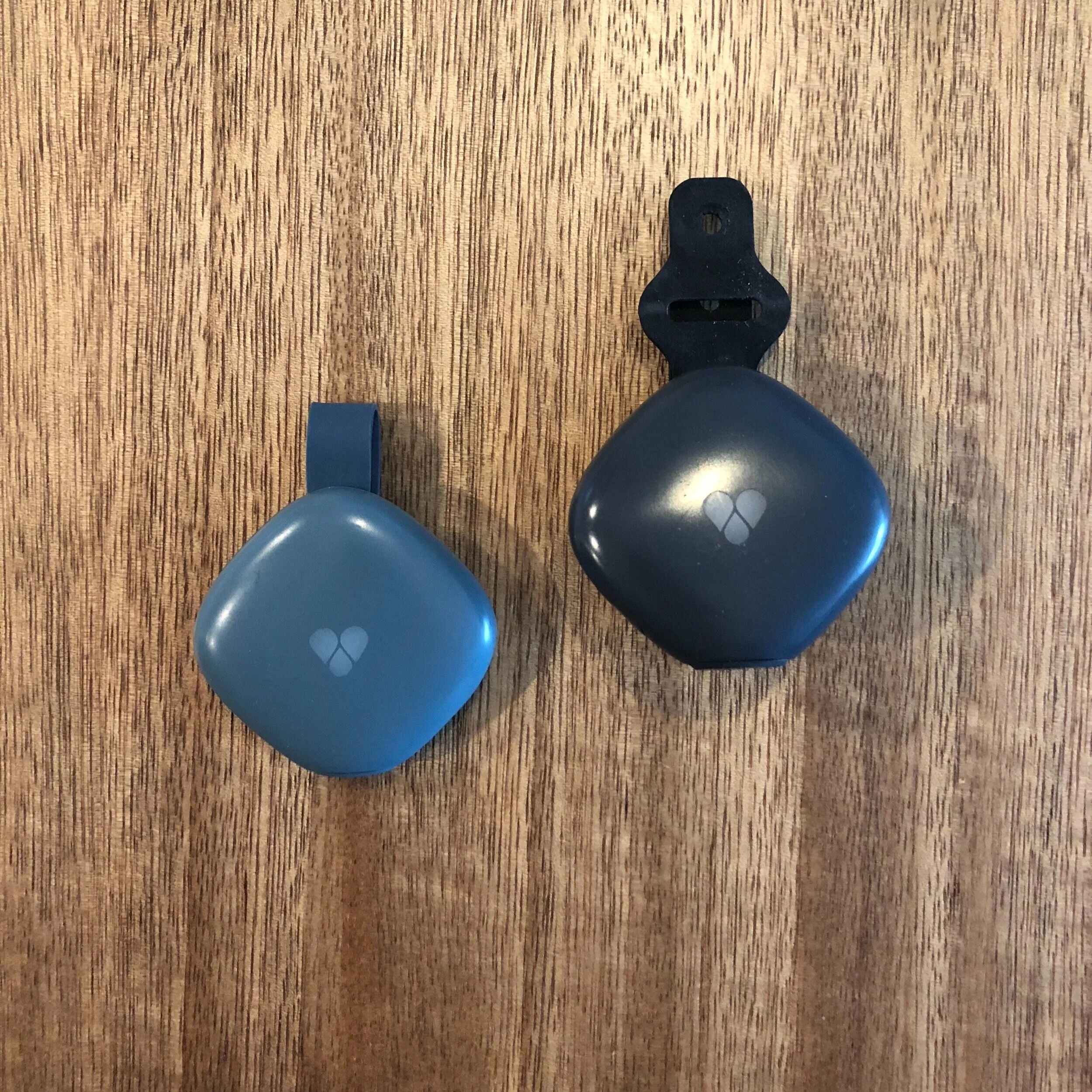 Both the human and dog modules by  Findster  are about 2 by 2 inches big