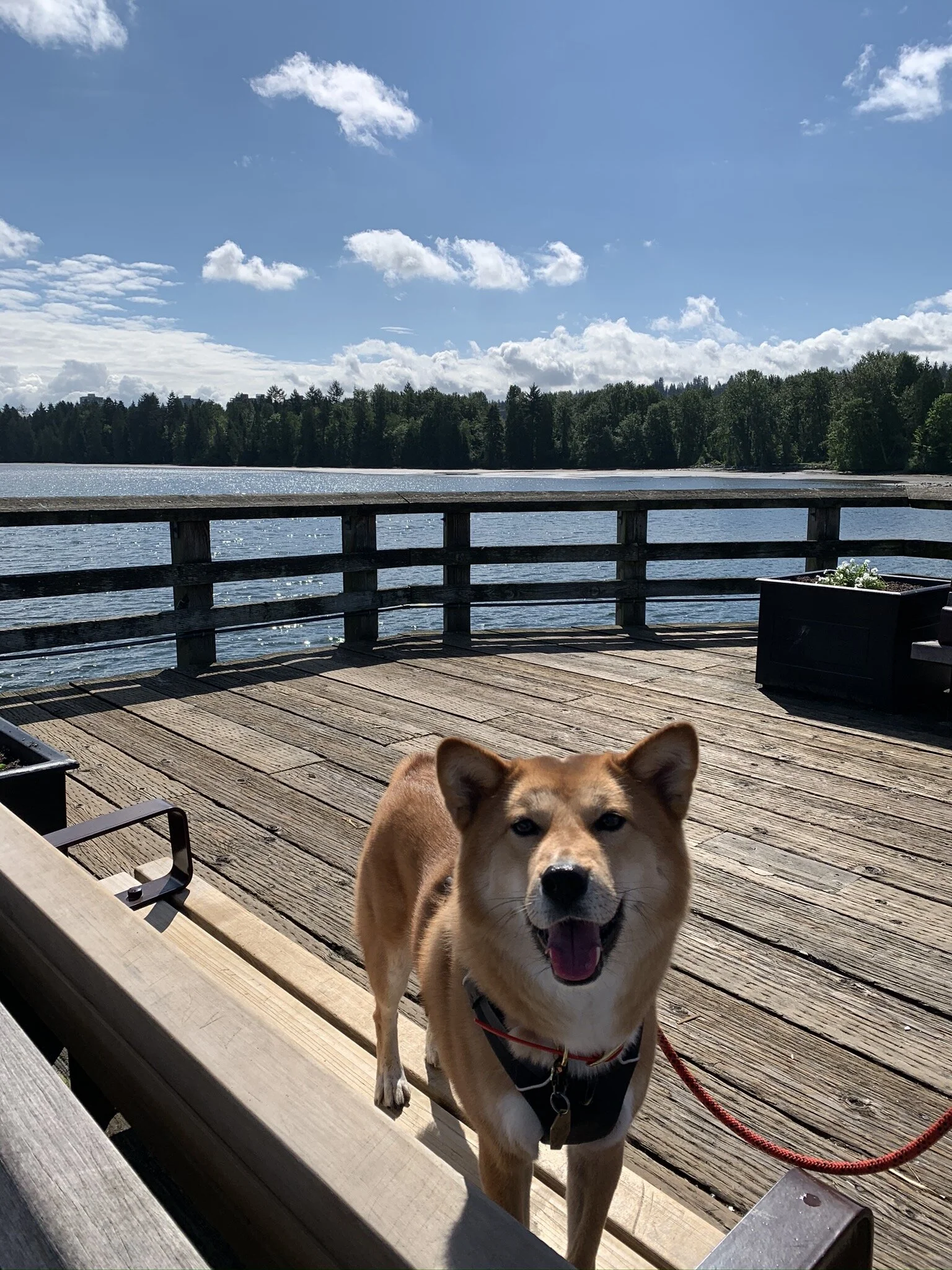 Markus standing at the end of the wooden walkway at Rocky Point Park