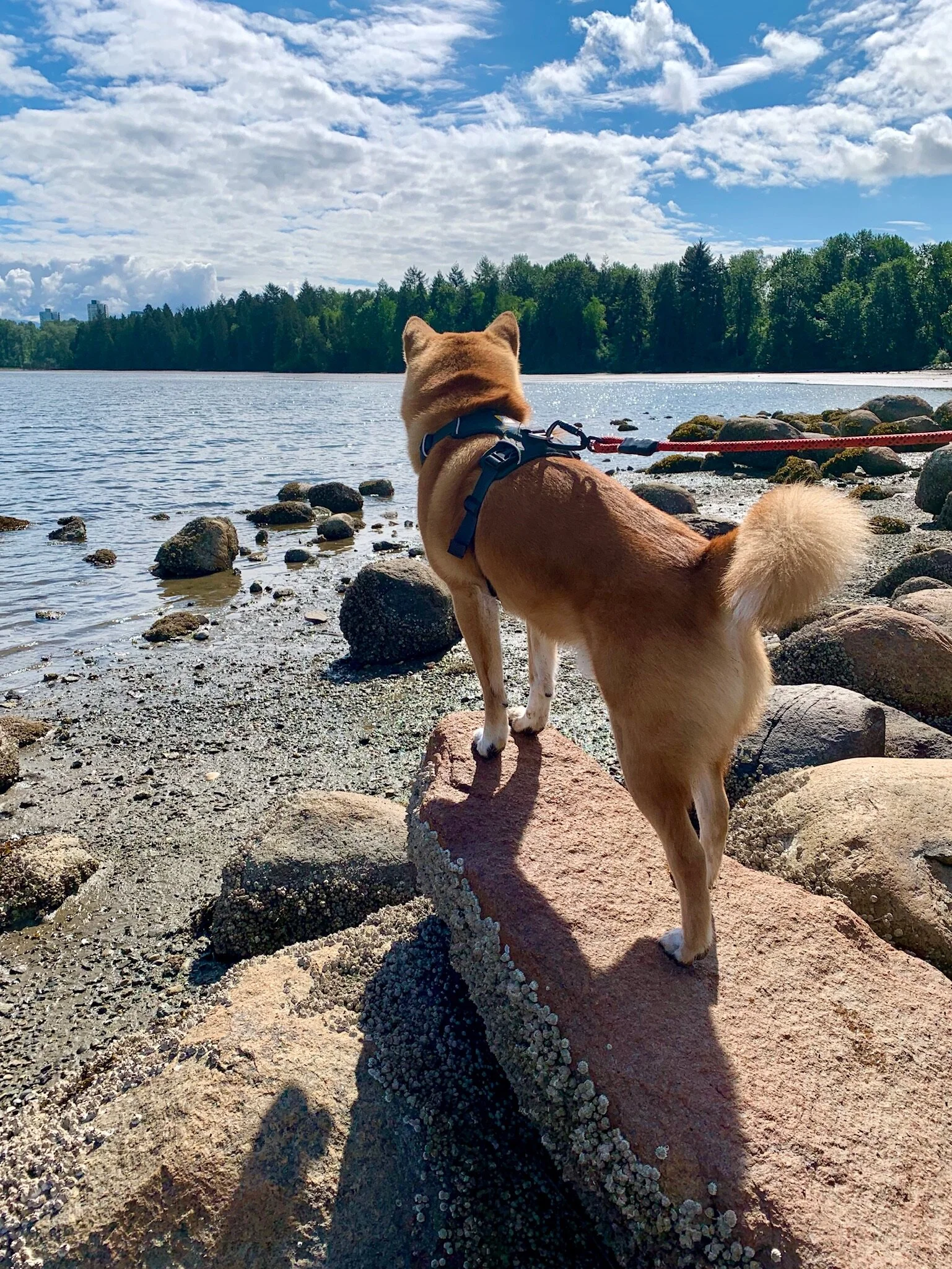 Markus enjoying the view at the point of rock at Rocky Point Park
