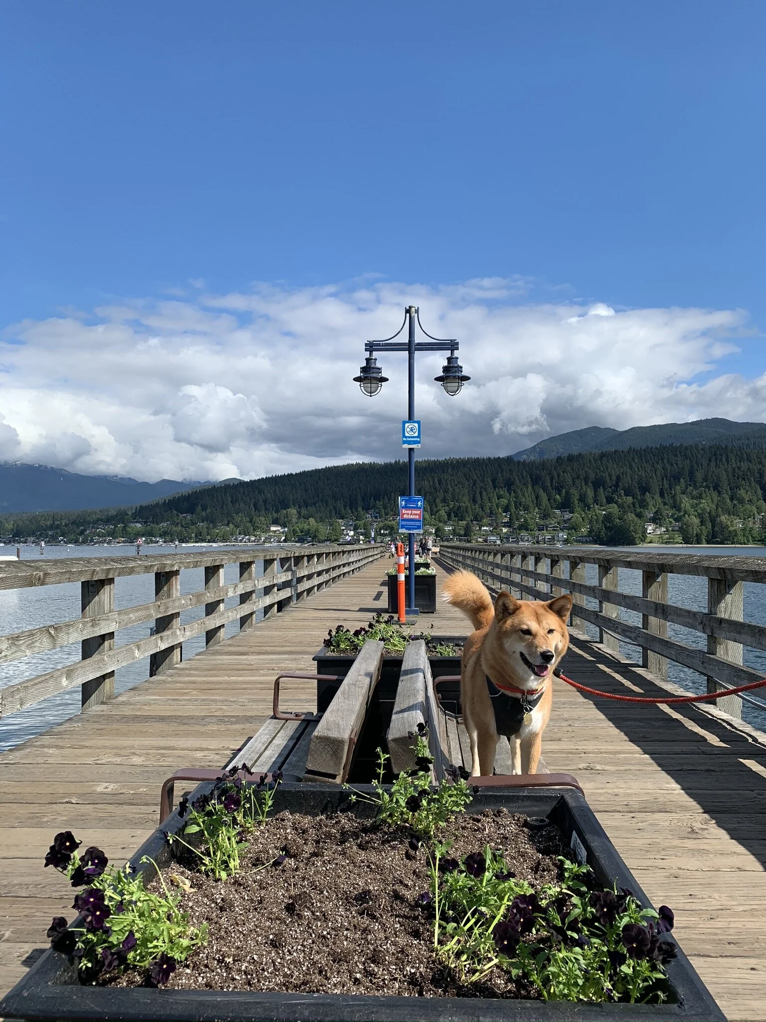 Markus posing on the wooden walkway to the end of Rocky Point Park
