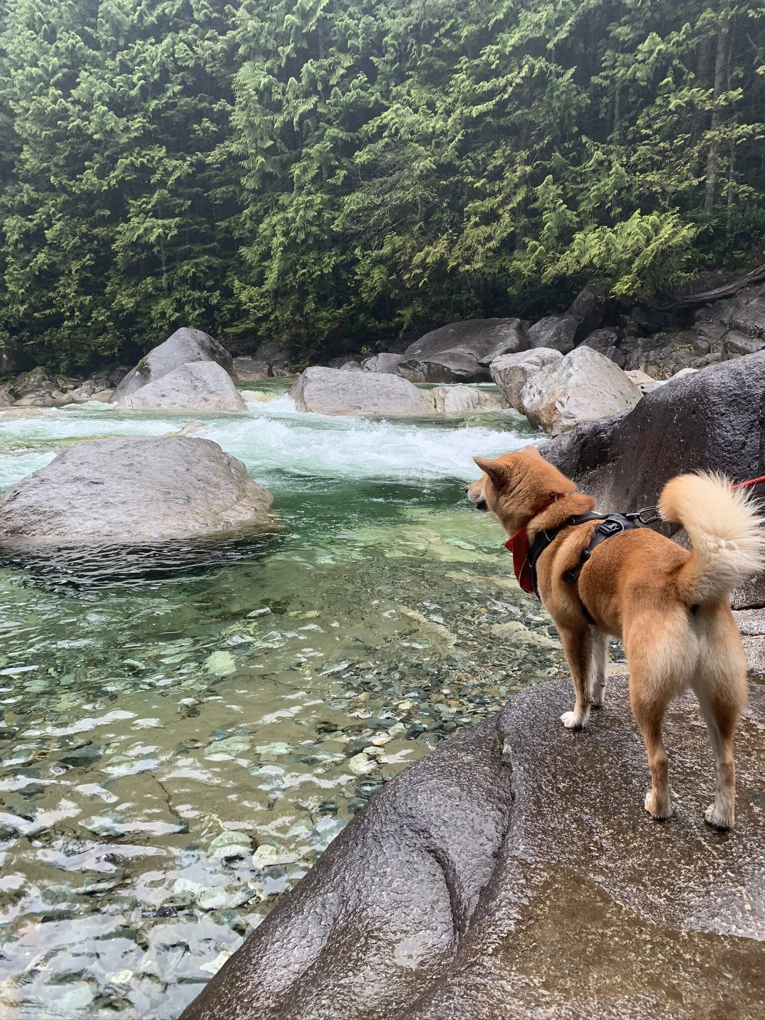 Markus standing on the rocks off to the edge of the Lower Falls by Golden Ears Provincial Park