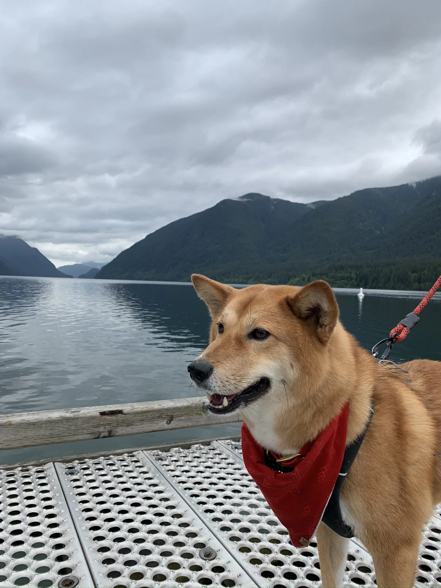 Markus standing by the edge of a dock on Alouette Lake at Golden Ears Provincial Park