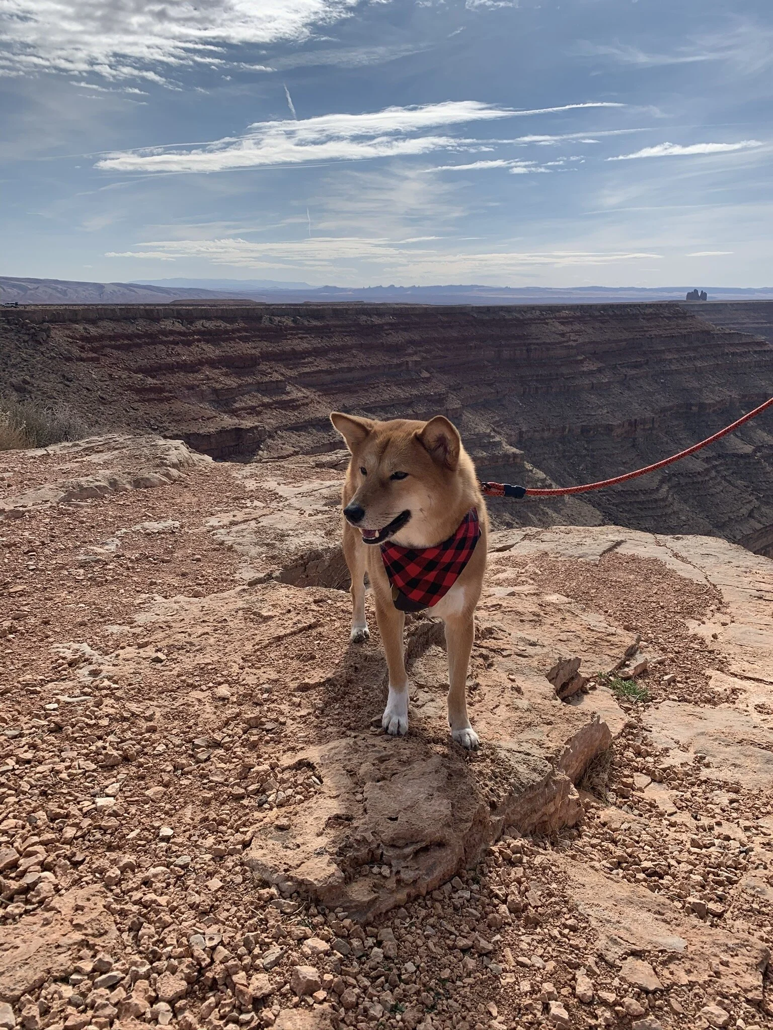 The walls on the edge of The Goosenecks are steep and the layers are fascinating at Goosenecks State Park