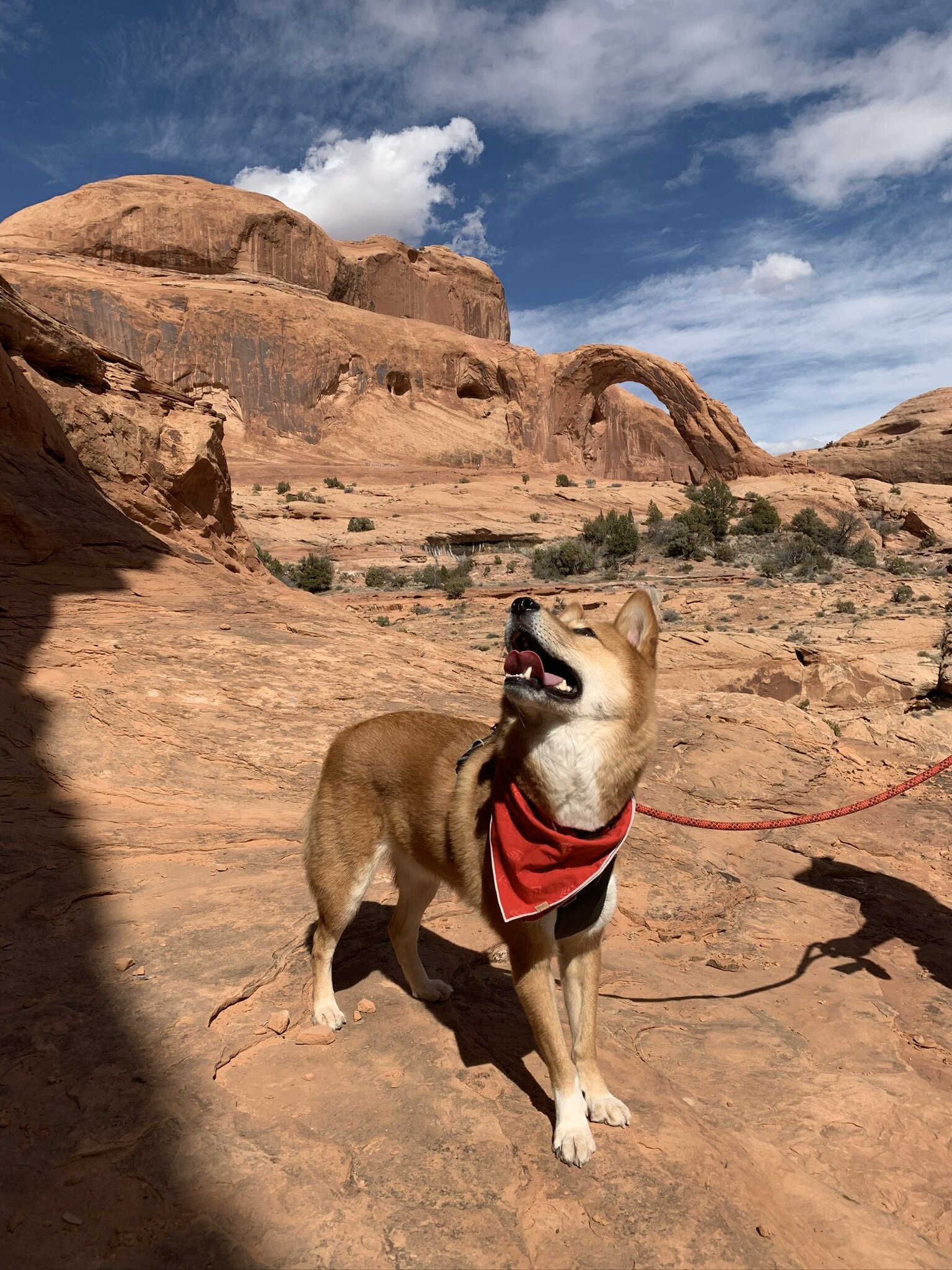 Markus looking up the steep wall on the Corona Arch & Bowtie Arch Trail at Bootlegger Canyon, Utah