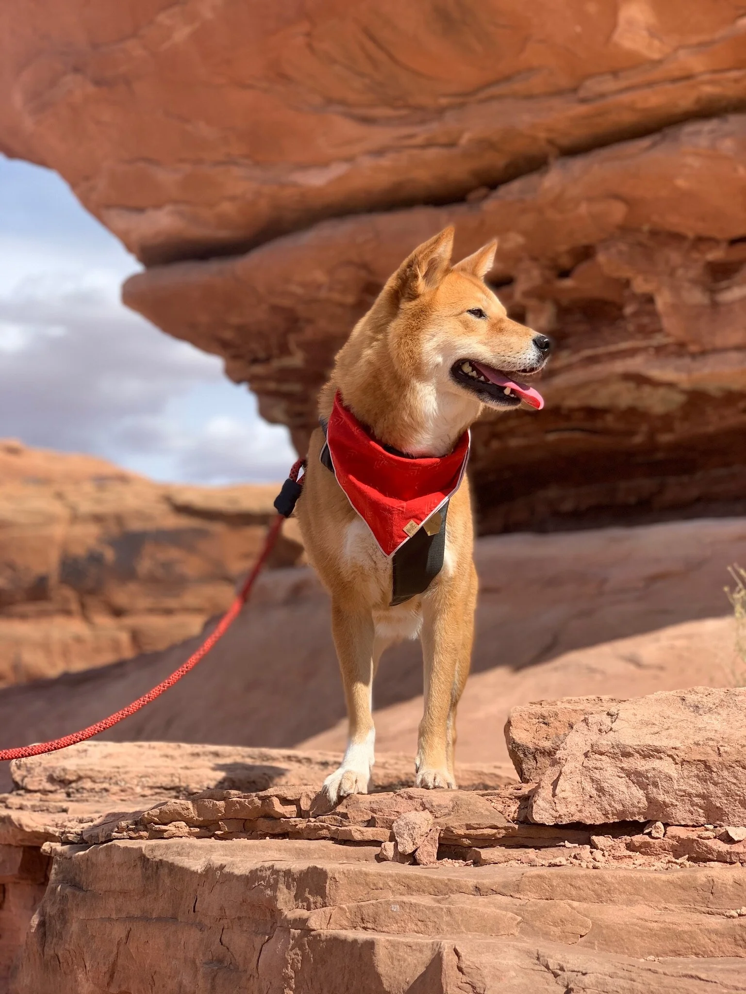 Aside from the arches, there are plenty of other rock formations to appreciate on the Corona Arch & Bowtie Arch Trail at Bootlegger Canyon