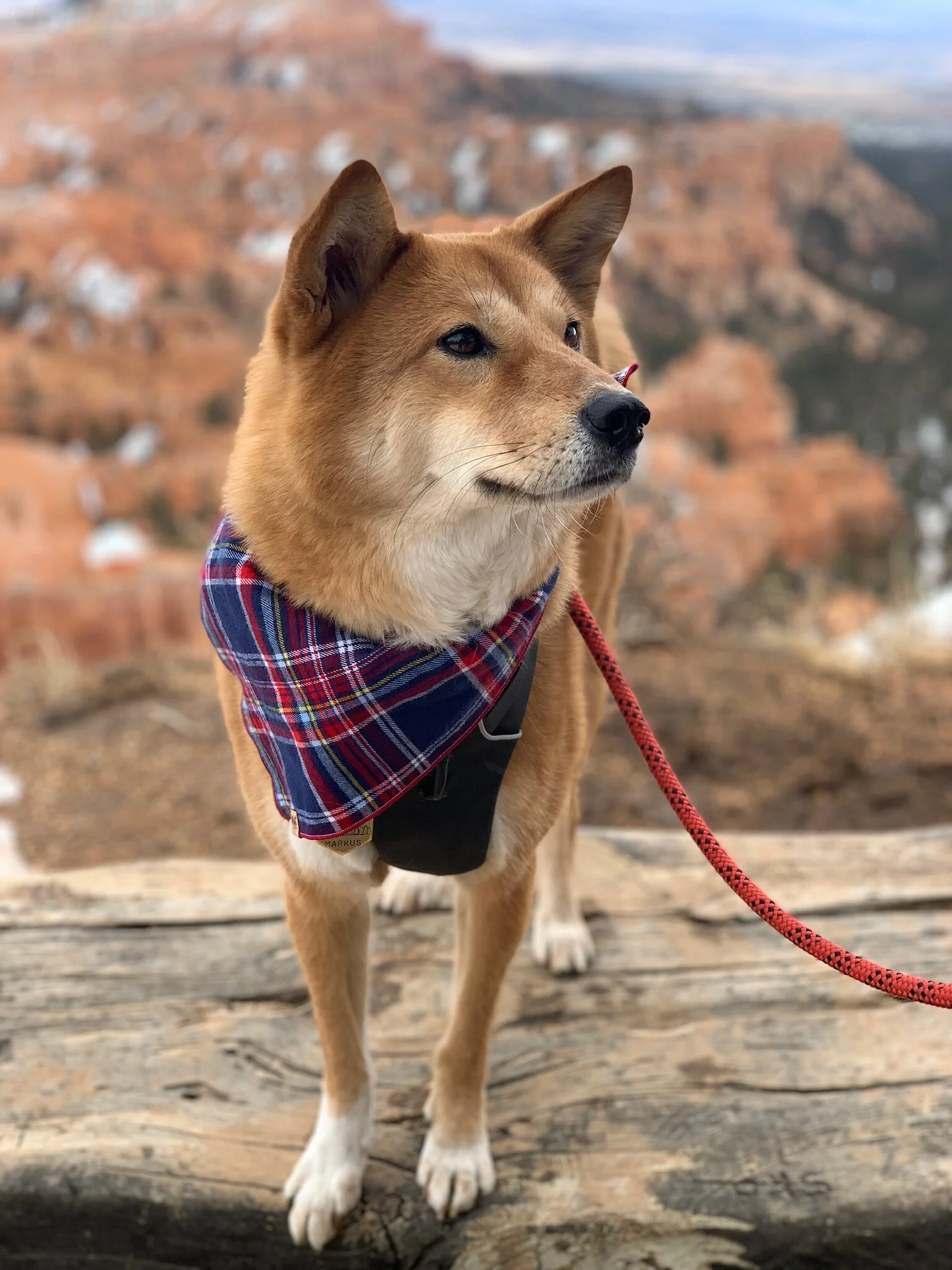 Markus thinking he’s part of the view at the Bryce Canyon National Park