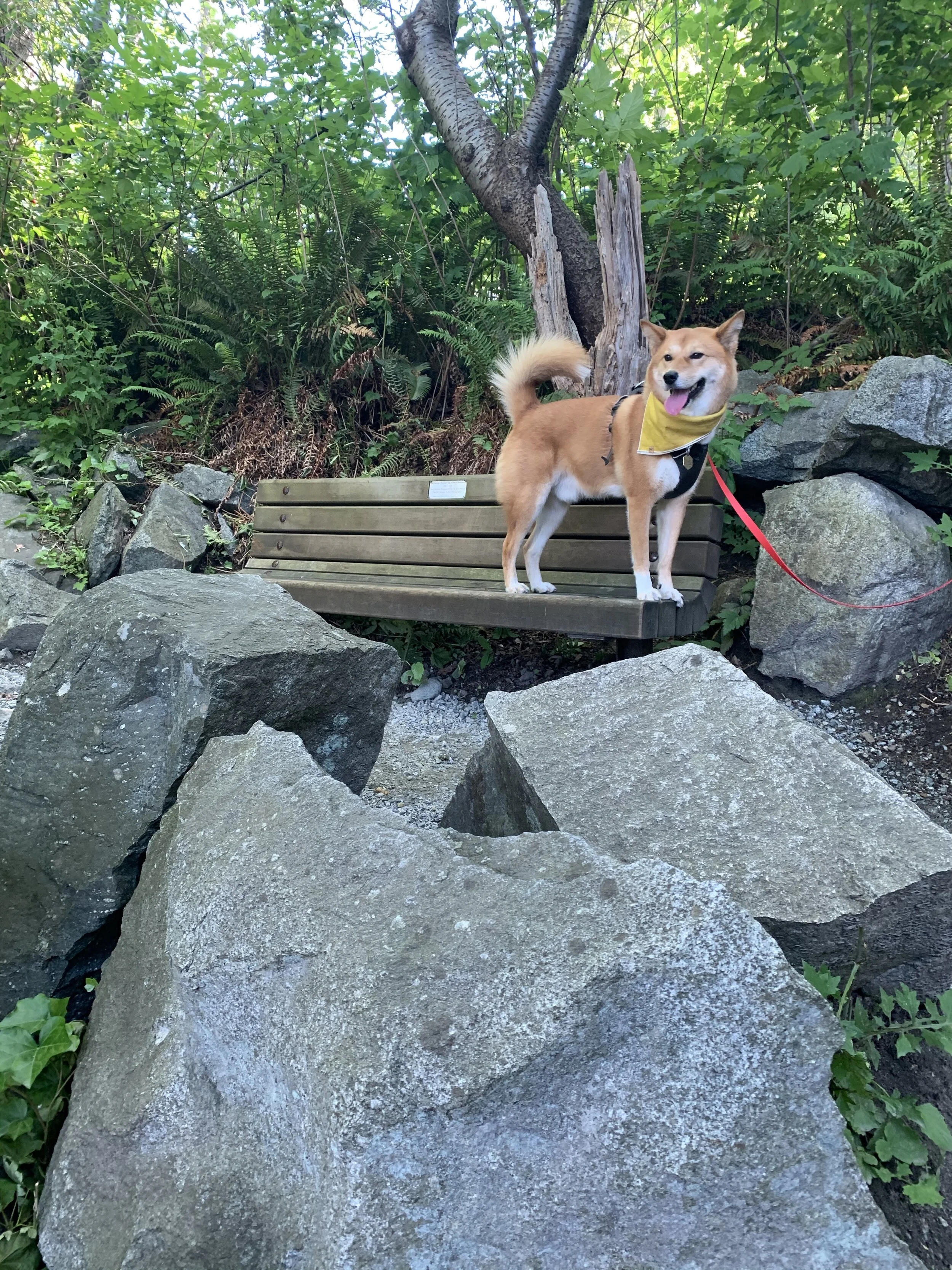 Markus posing on a bench along the Shoreline Trail