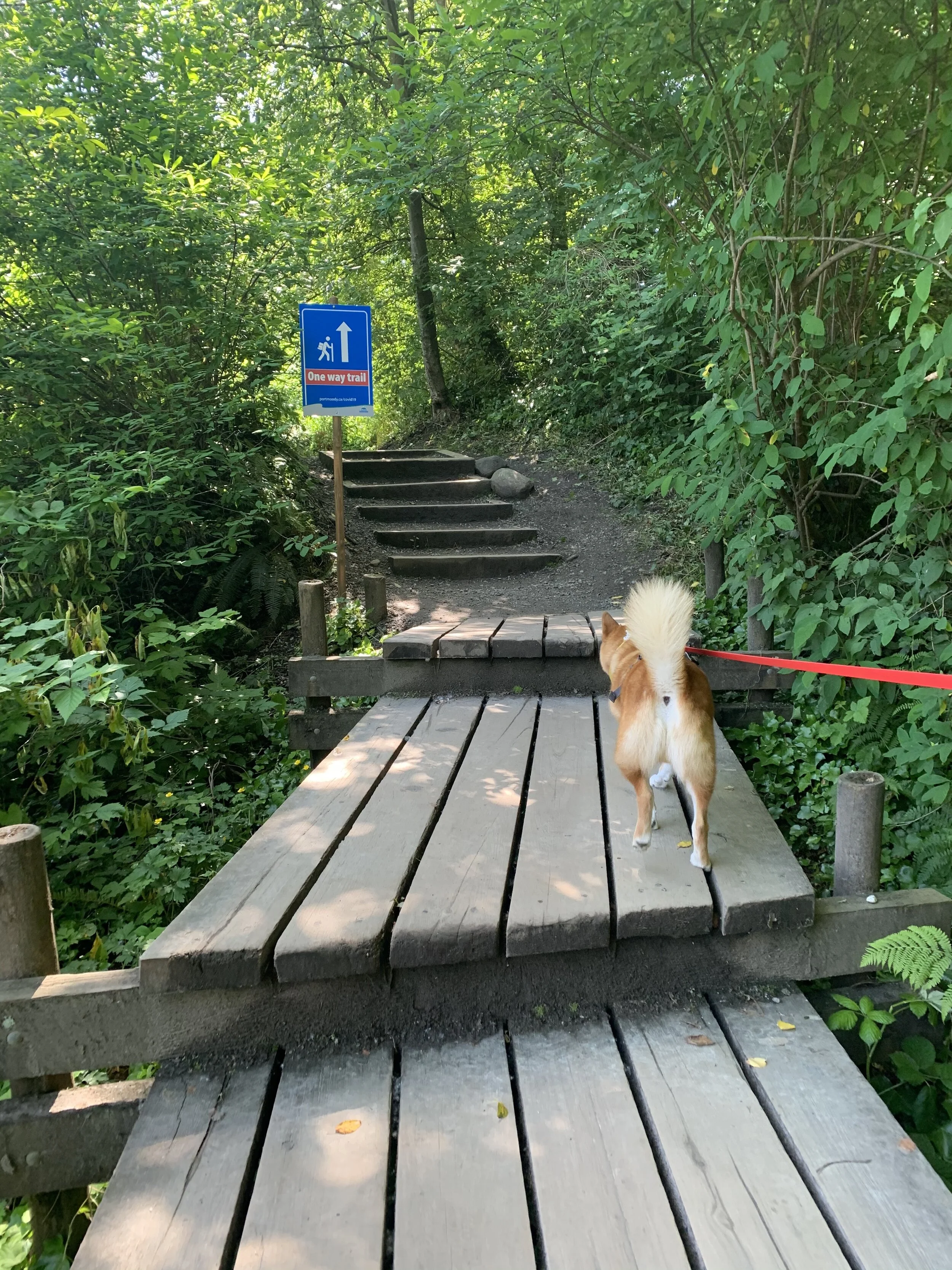 Markus taking the stairs with a COVID-19 one-way sign along the Shoreline Trail