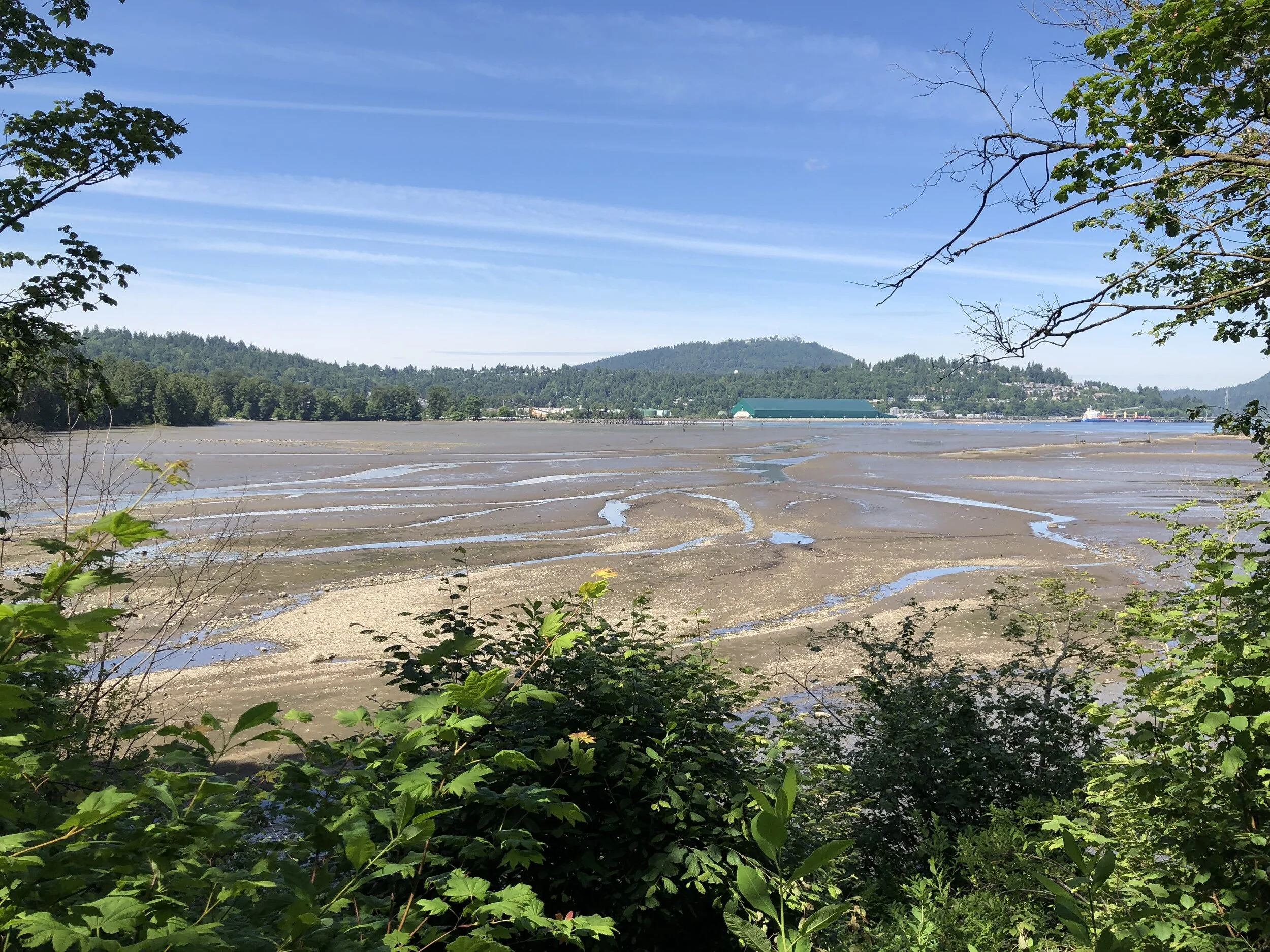 The view along Shoreline Trail in Port Moody during low tide