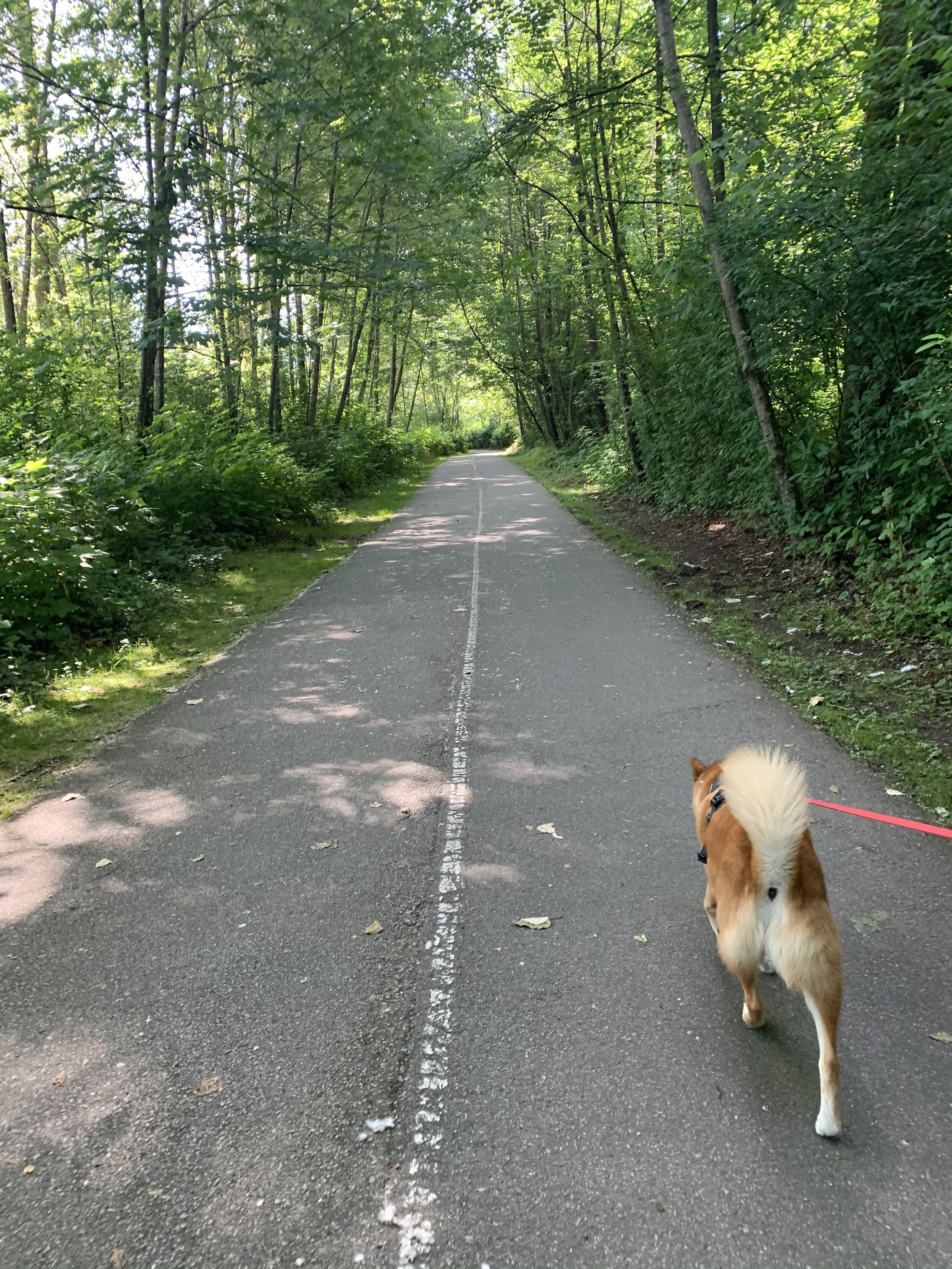 Markus walking along the bike route on the way back since the Shoreline Trail is currently one-way